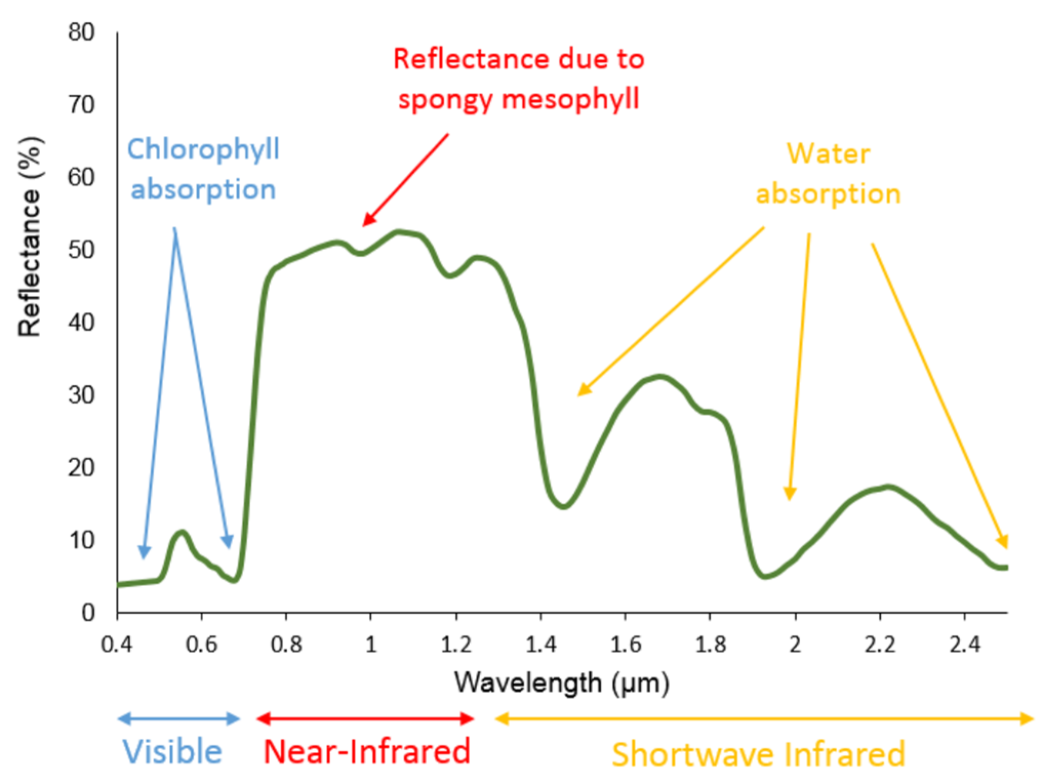 Chemproc 10 00044 g001