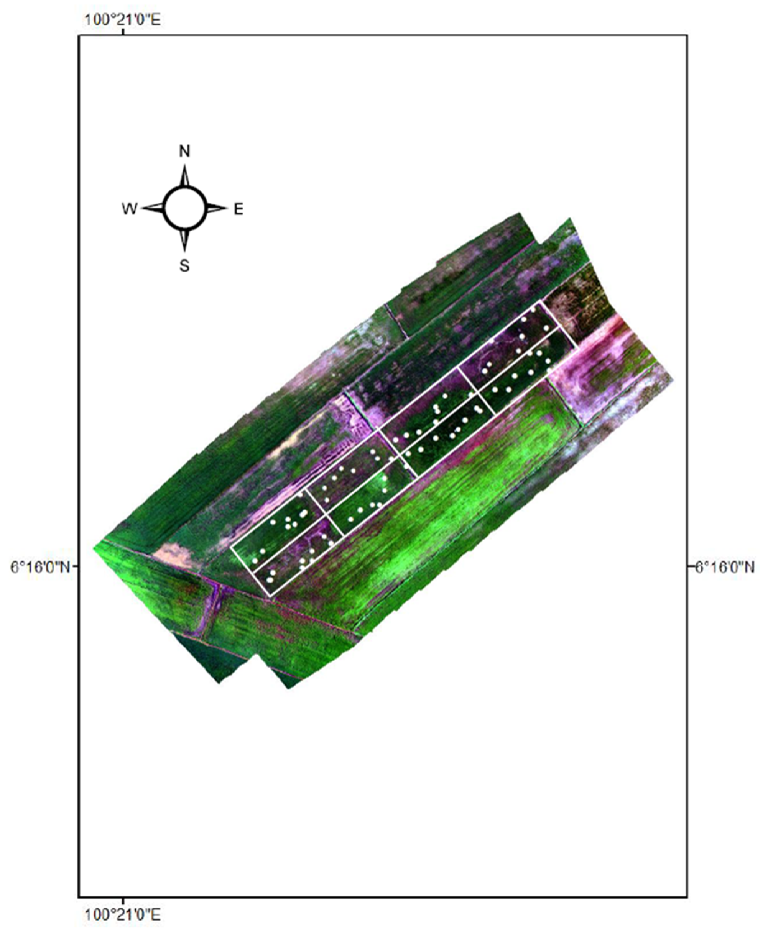 Chemproc 10 00044 g006