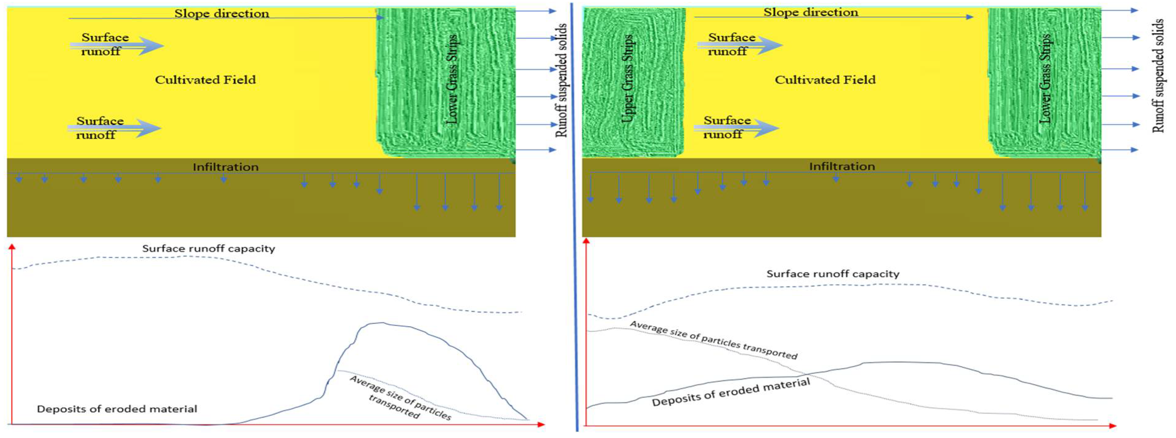 Chemistry Proceedings Free FullText Fodder Grass Strips for Soil Conservation and Soil Health