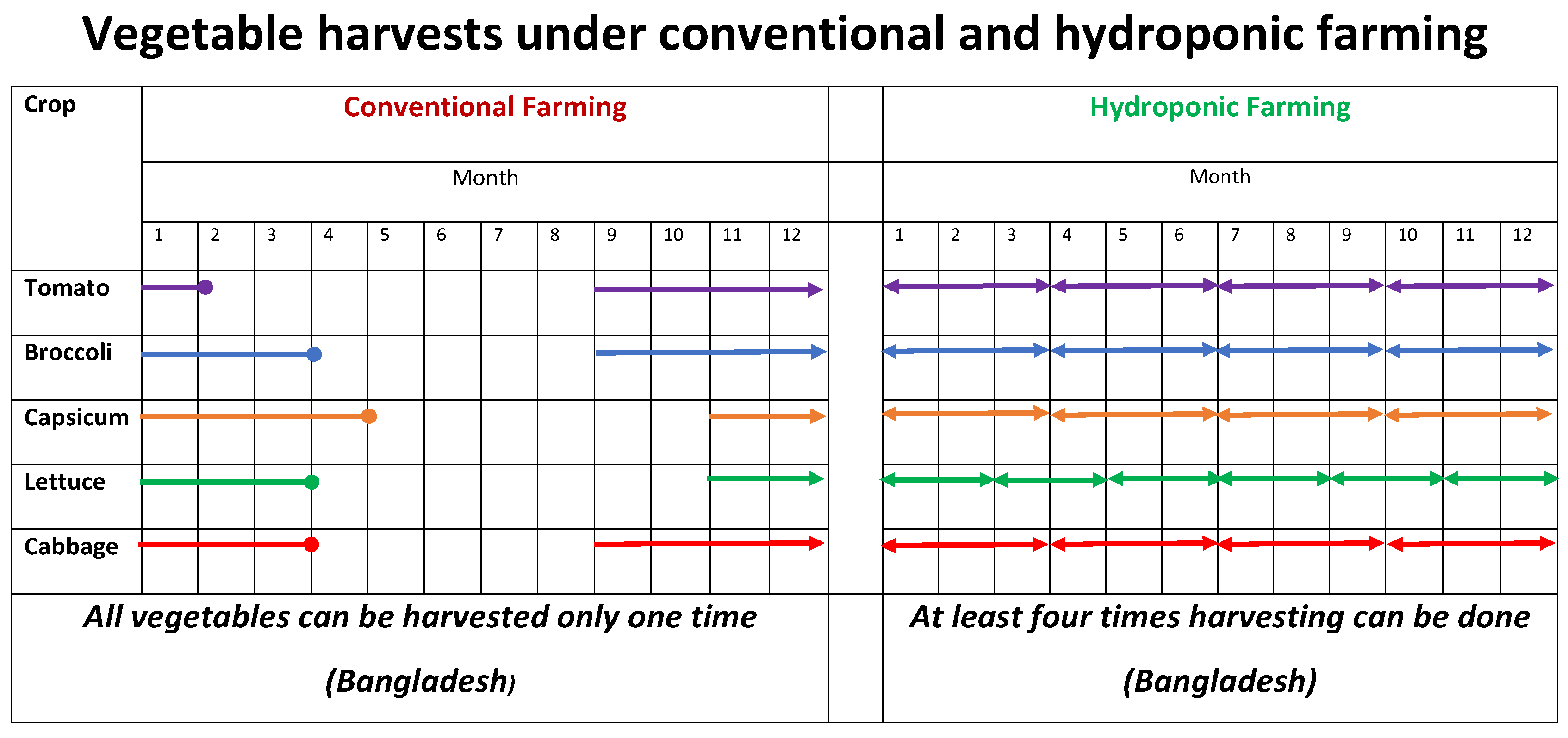 Chemproc 10 00069 g001