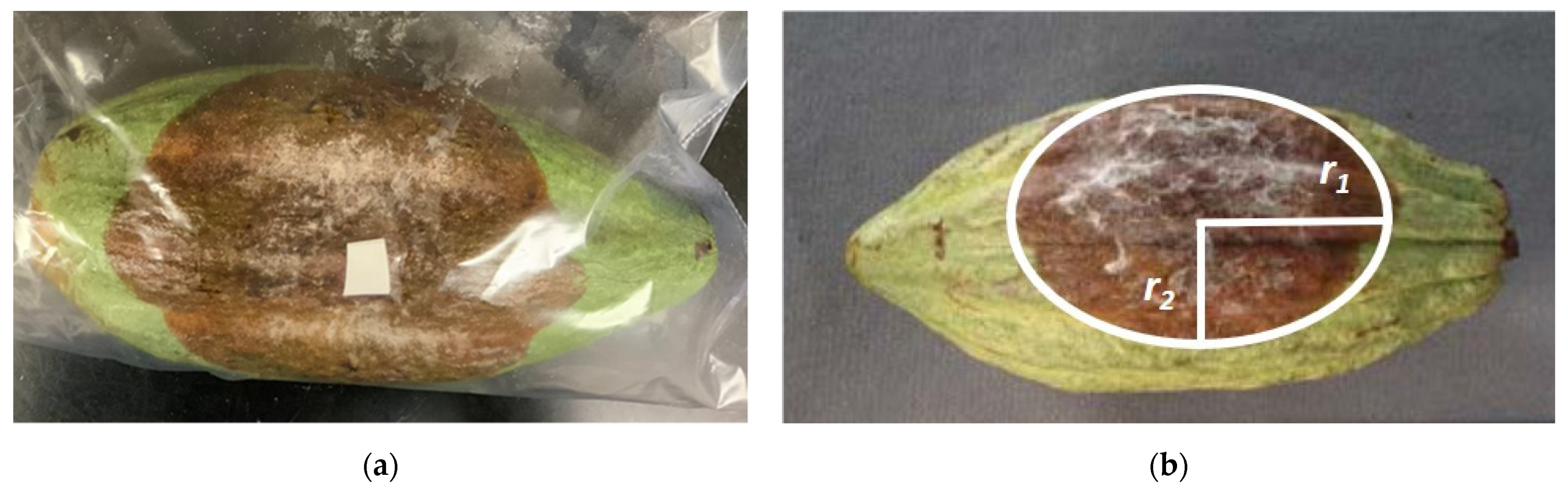 Chemproc 10 00071 g001