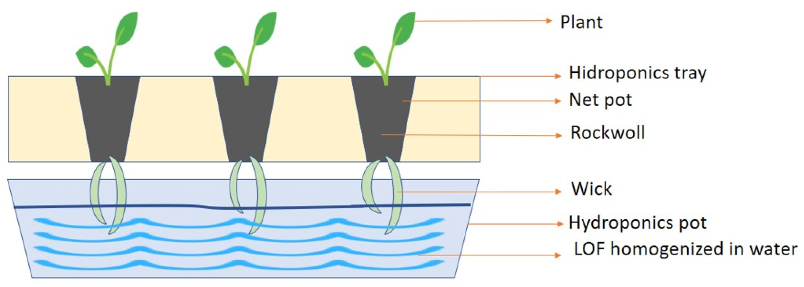 Chemproc 10 00084 g001