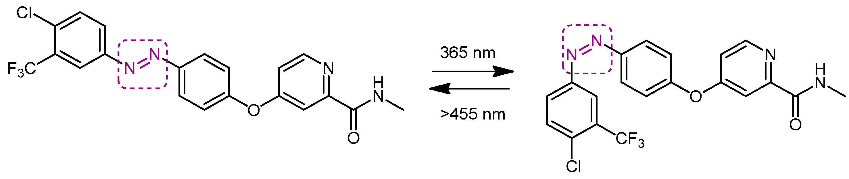 Chemproc 11 00001 g045 550