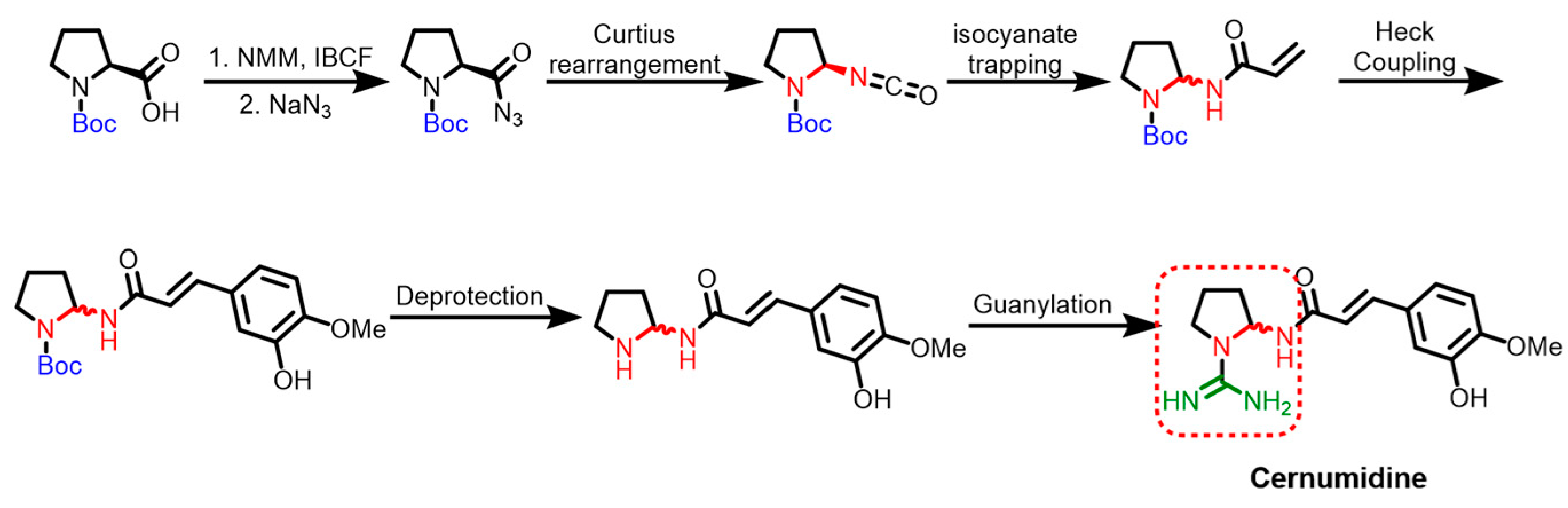 Chemproc 11 00001 sch014 550