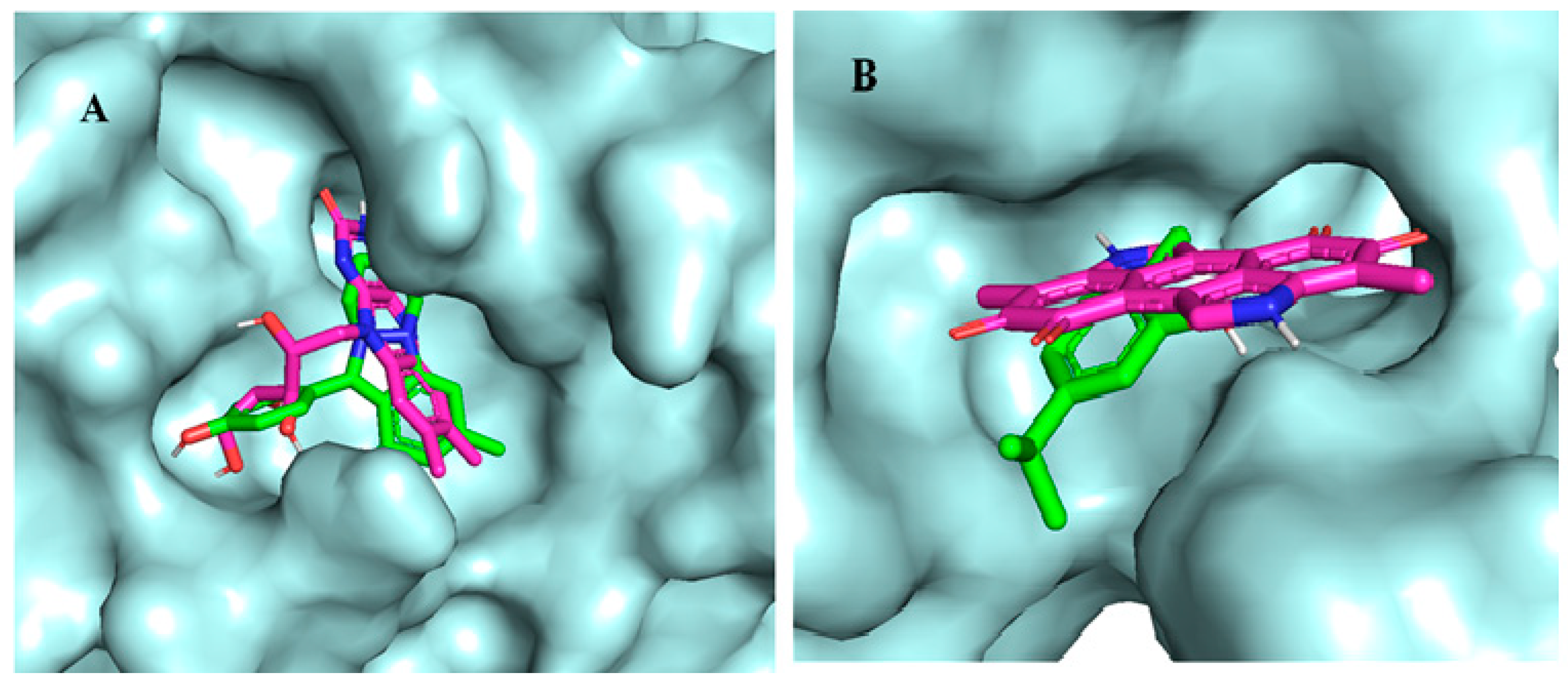 Chemproc 12 00011 g002 Chemproc 12 00011 g002