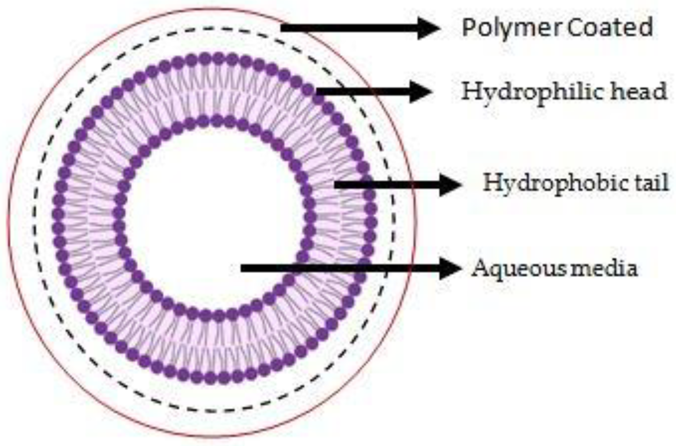 Chemproc 12 00012 g003
