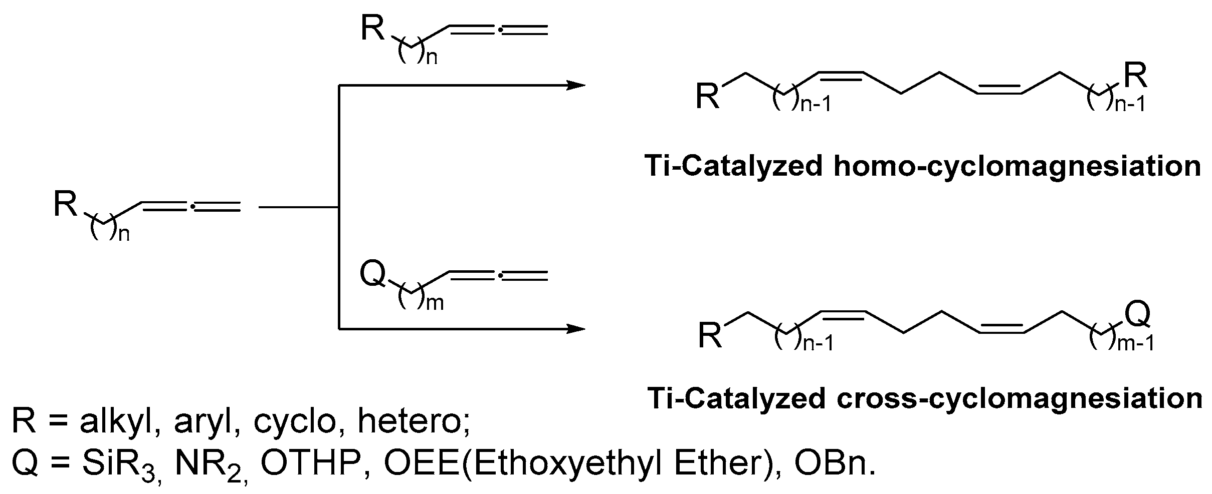 Chemproc 12 00019 sch001