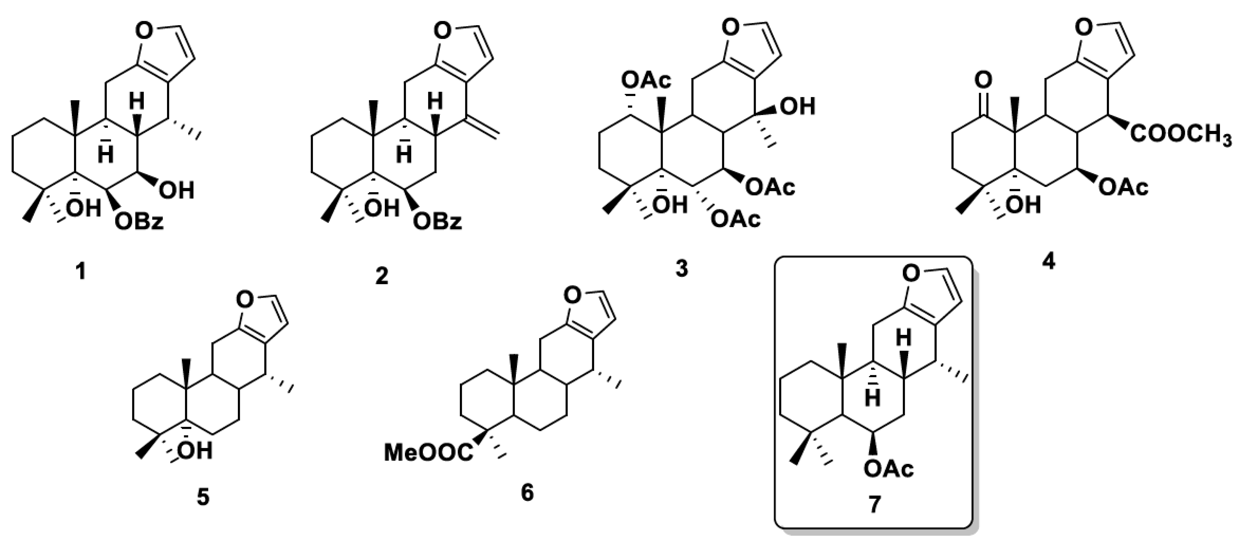 Chemproc 12 00024 g001