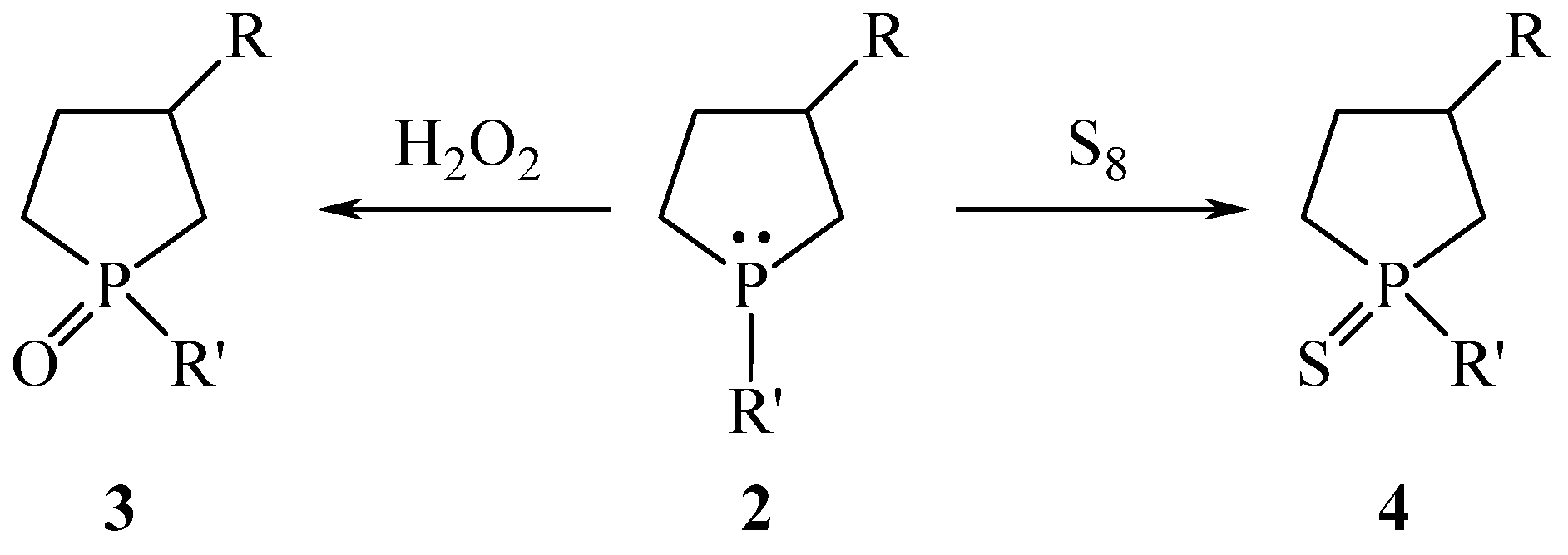 Chemproc 12 00047 sch002