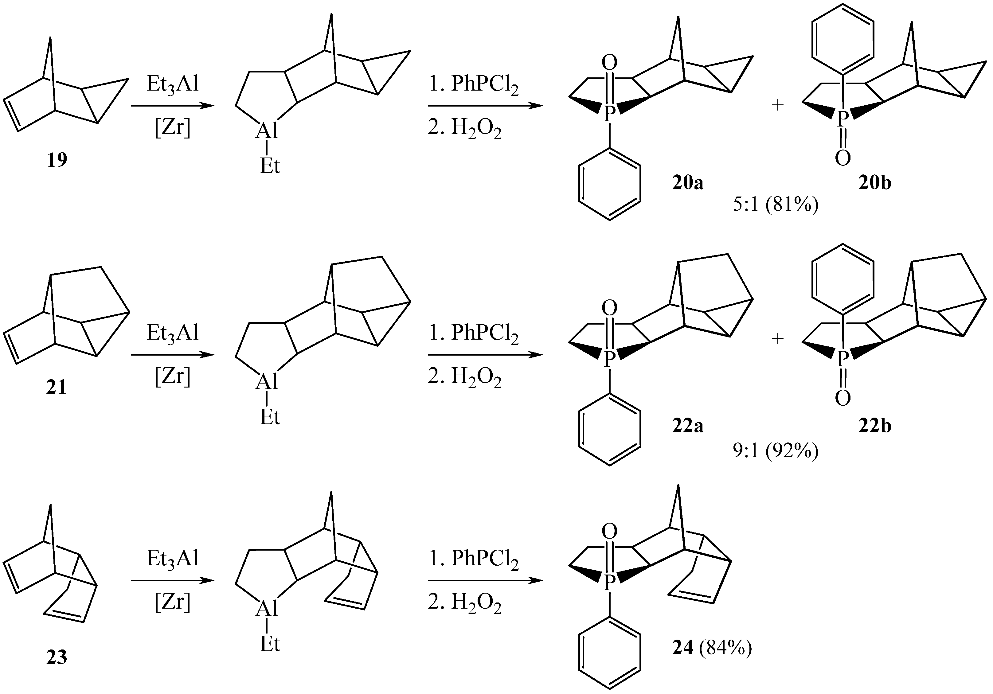 Chemproc 12 00047 sch008