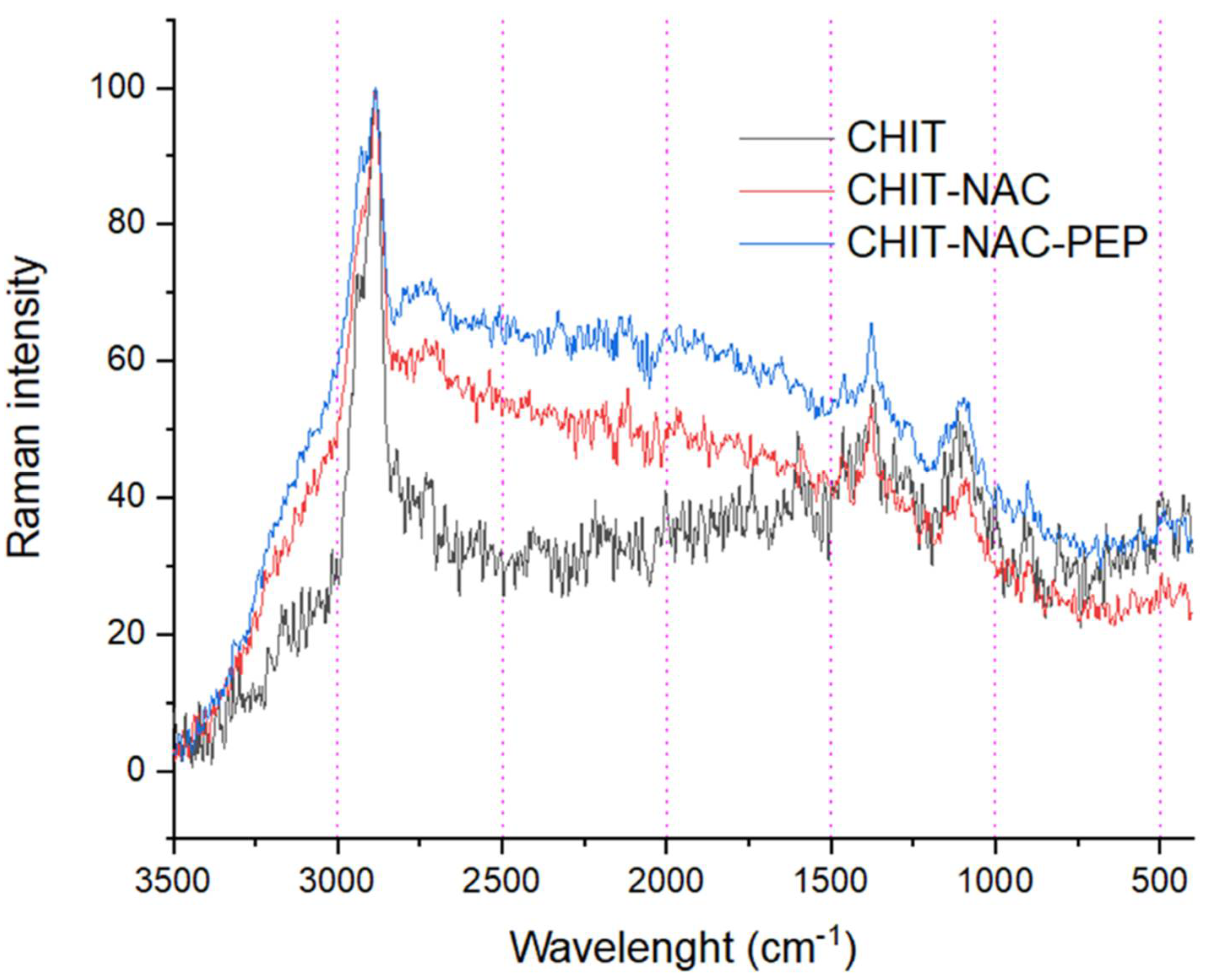 Chemproc 12 00051 g002