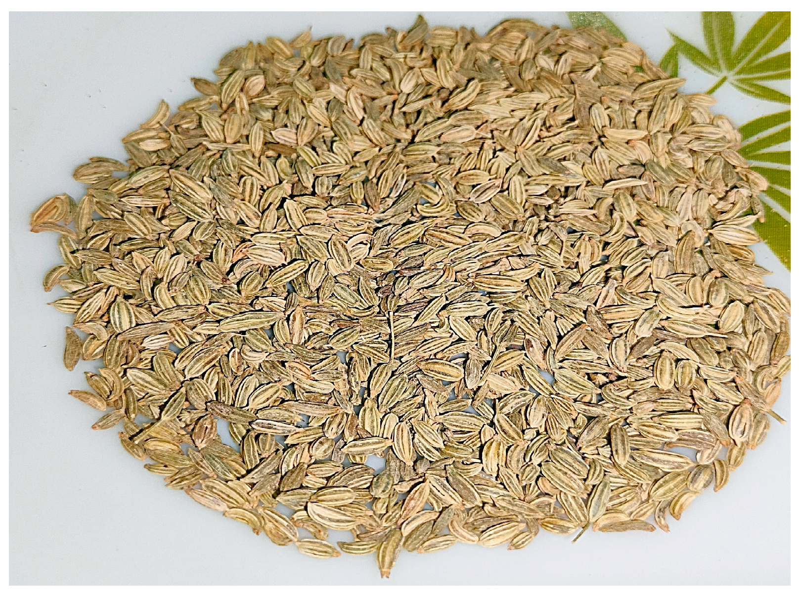 Chemproc 12 00054 g001 Chemproc 12 00054 g001