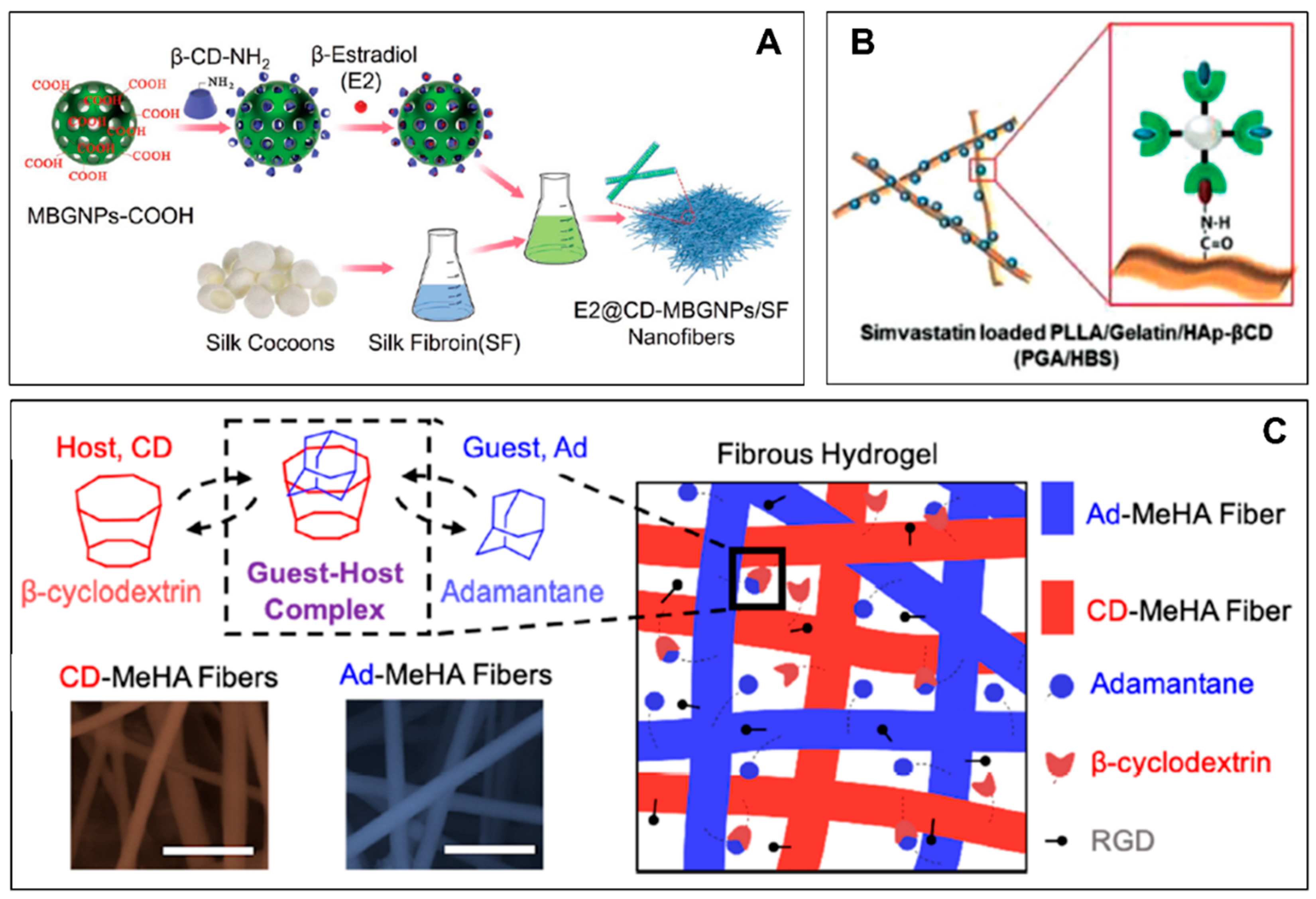Chemproc 12 00060 g003 Chemproc 12 00060 g003