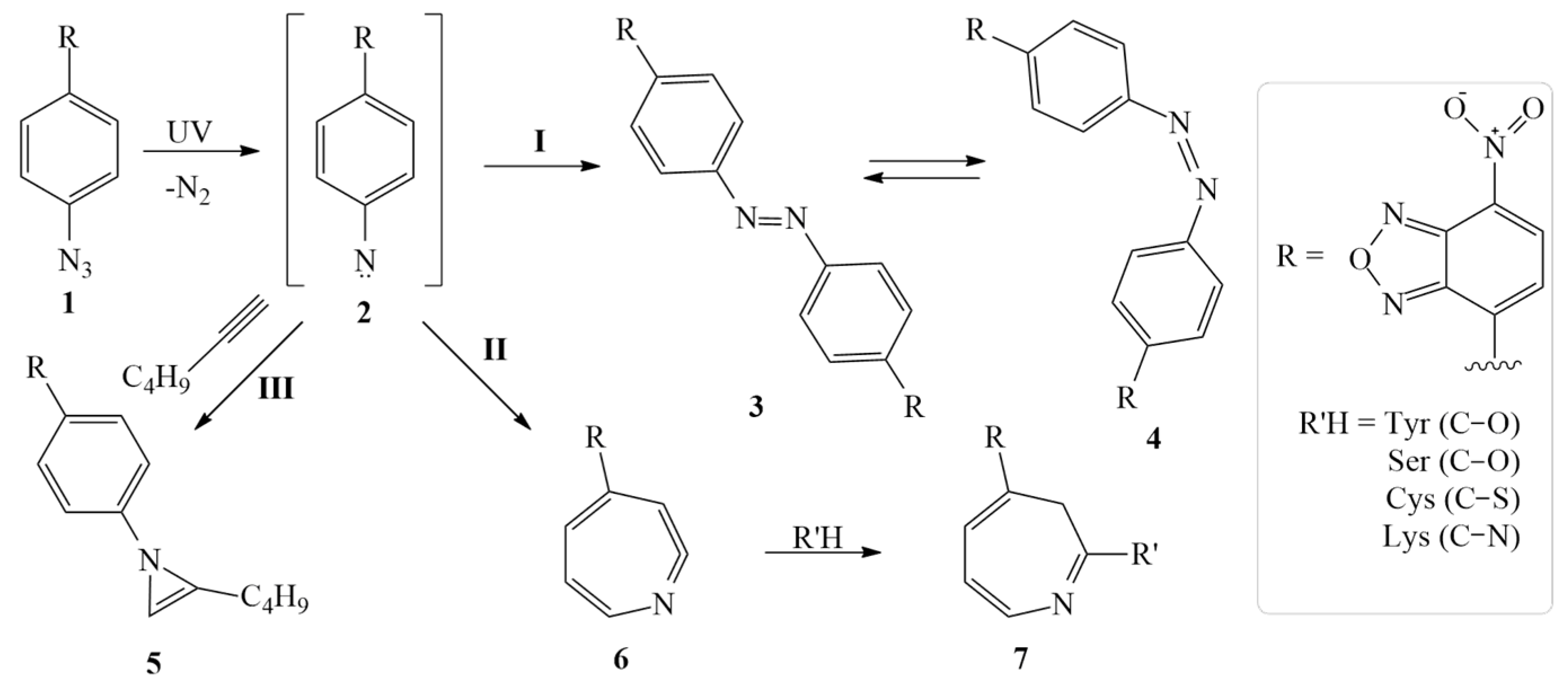 Chemproc 12 00066 g004