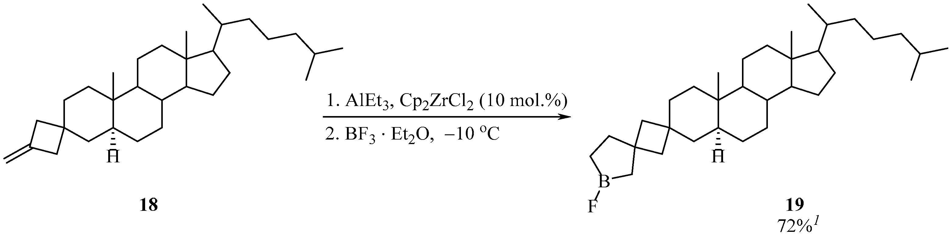 Chemproc 12 00067 sch008 550