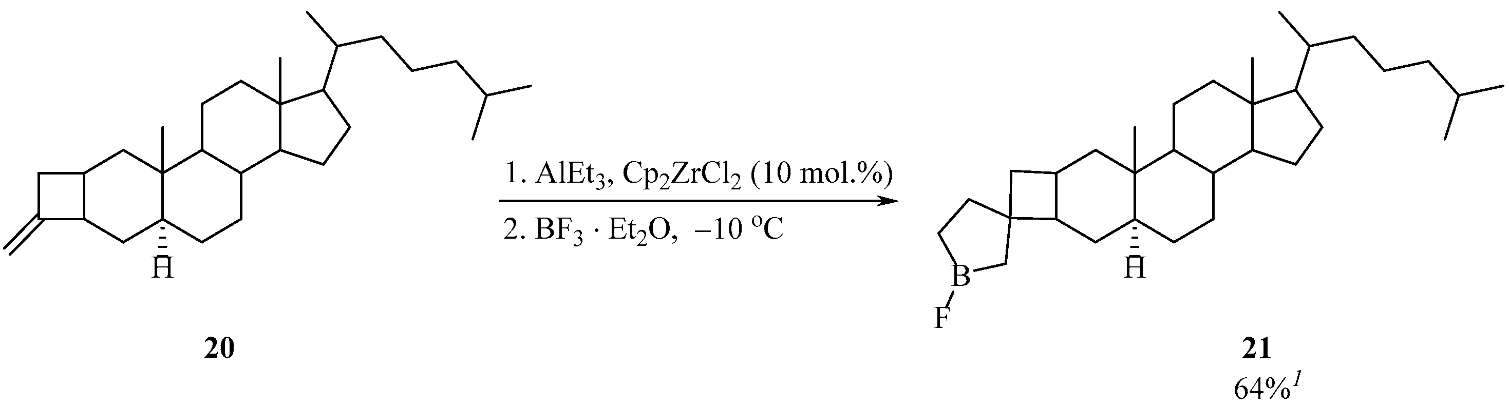 Chemproc 12 00067 sch009 550