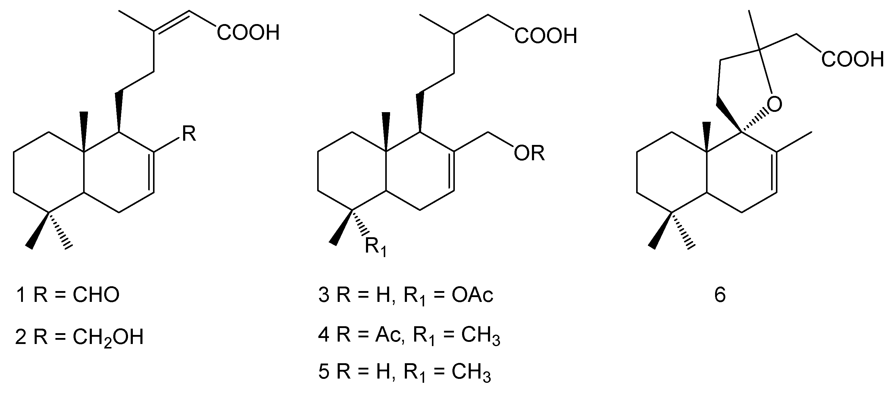 Chemproc 12 00071 g001