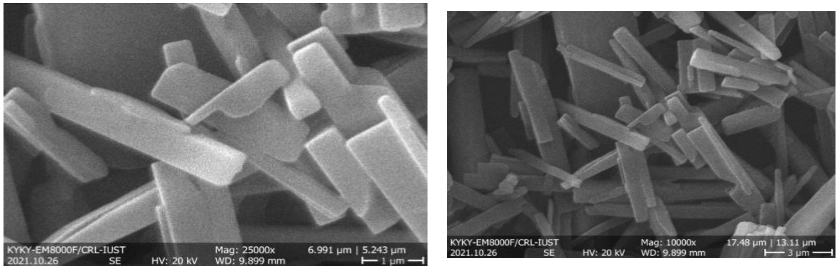 Chemproc 12 00074 g003