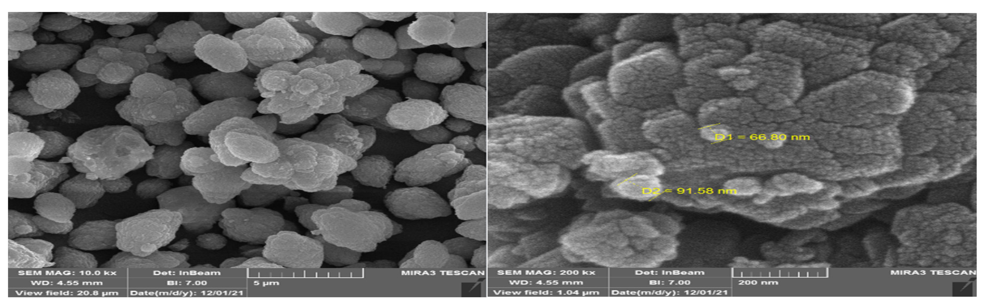 Chemproc 12 00077 g002