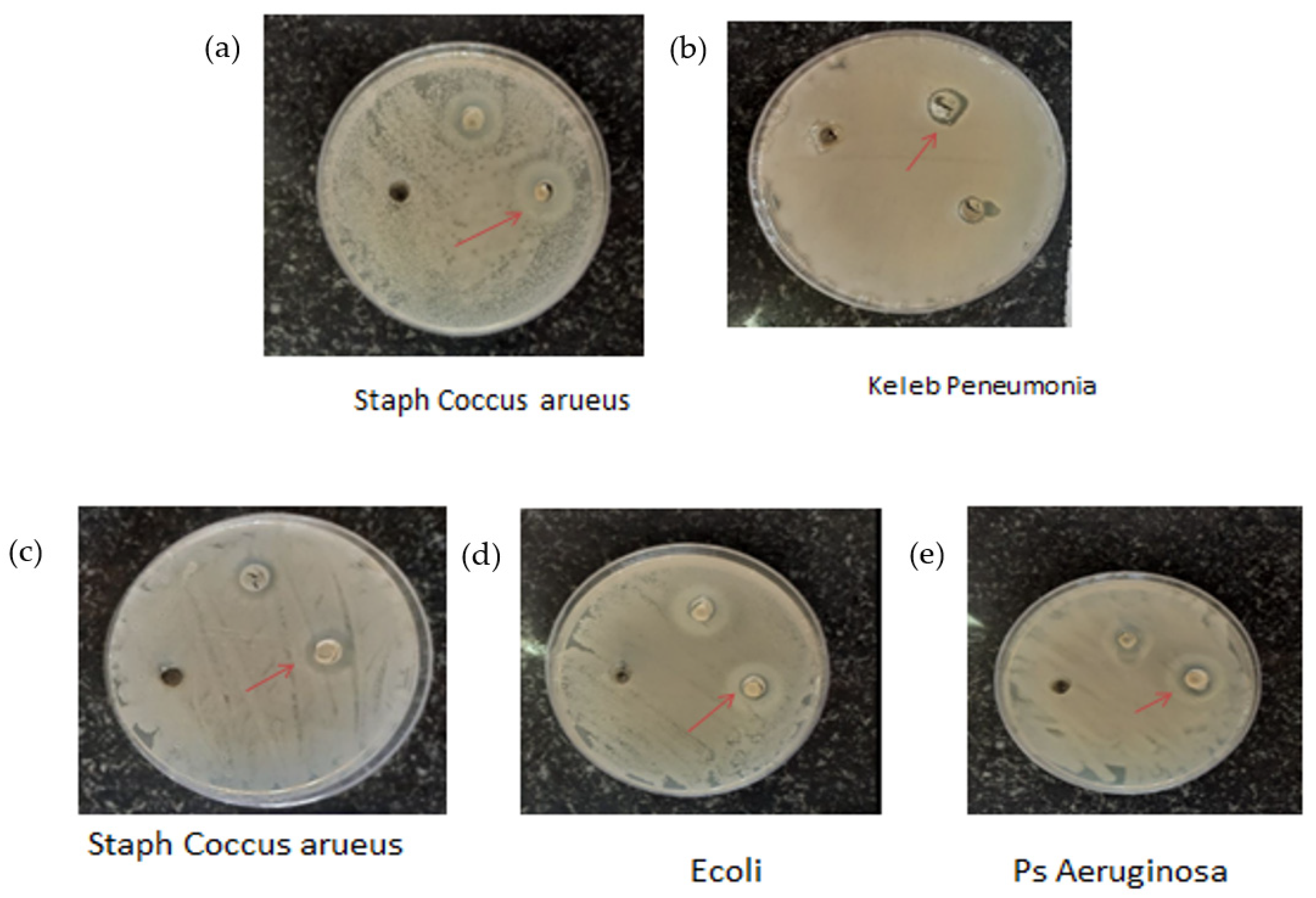 Chemproc 12 00077 g003