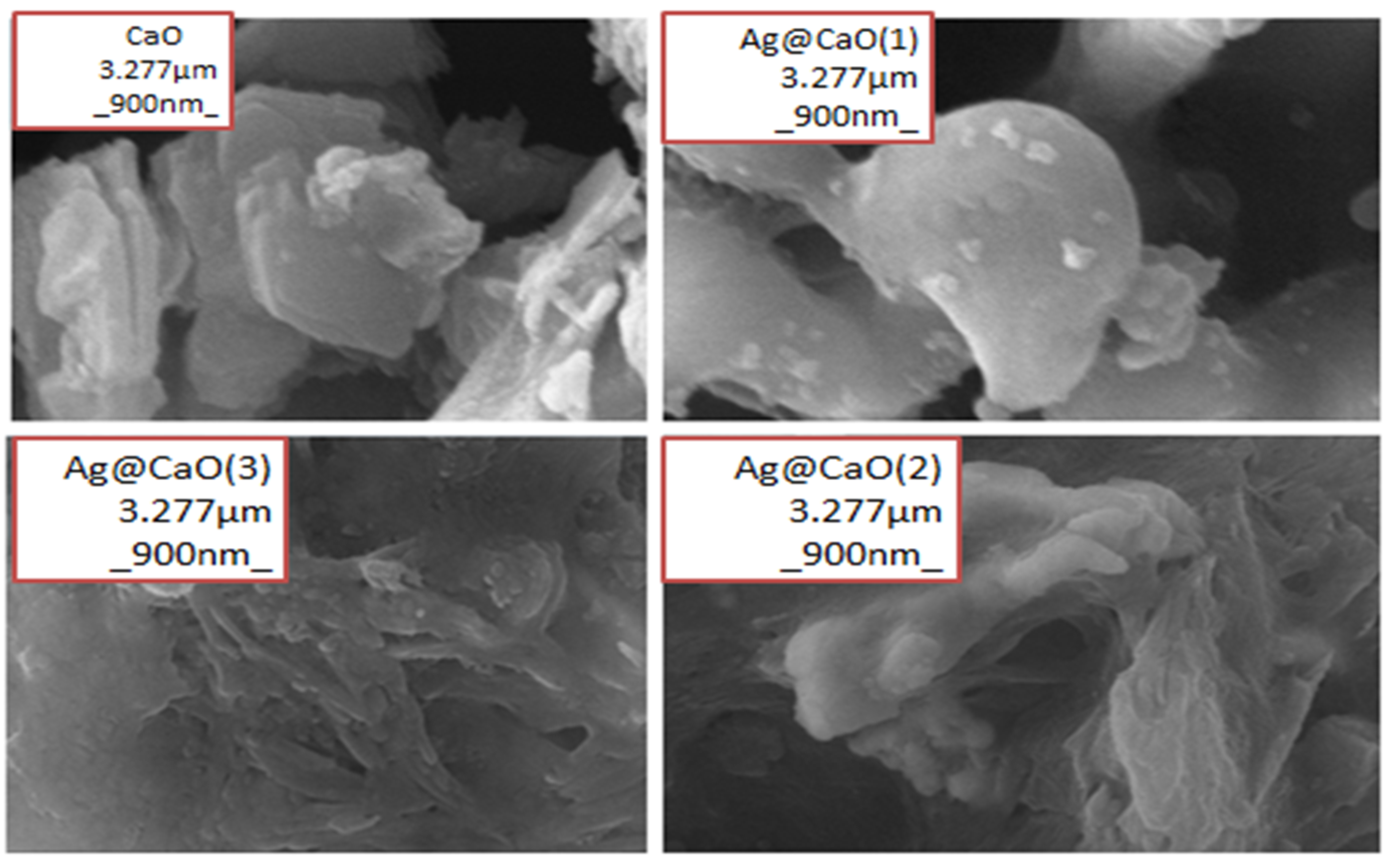 Chemproc 12 00080 g004