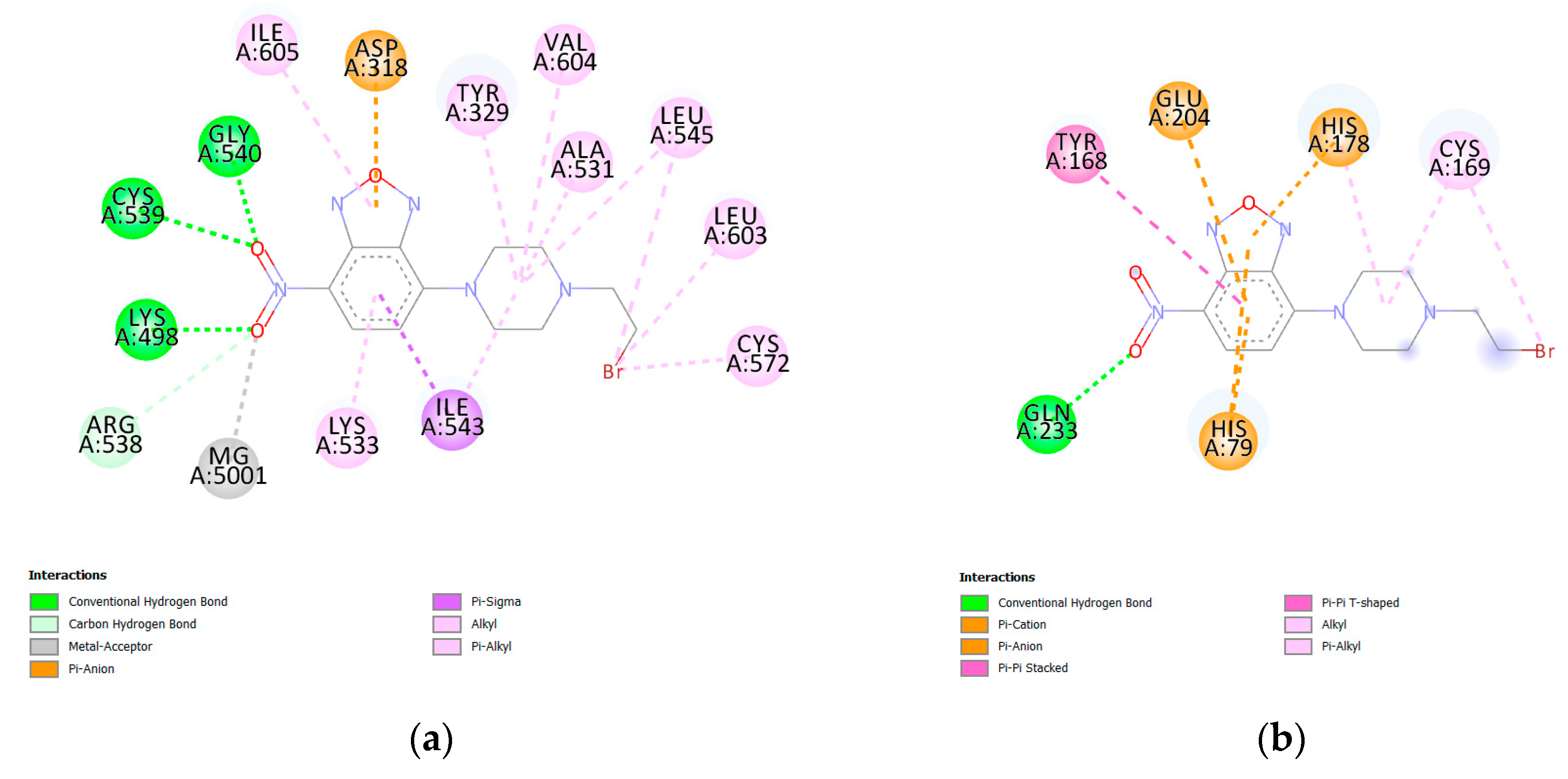 Chemproc 12 00087 g002