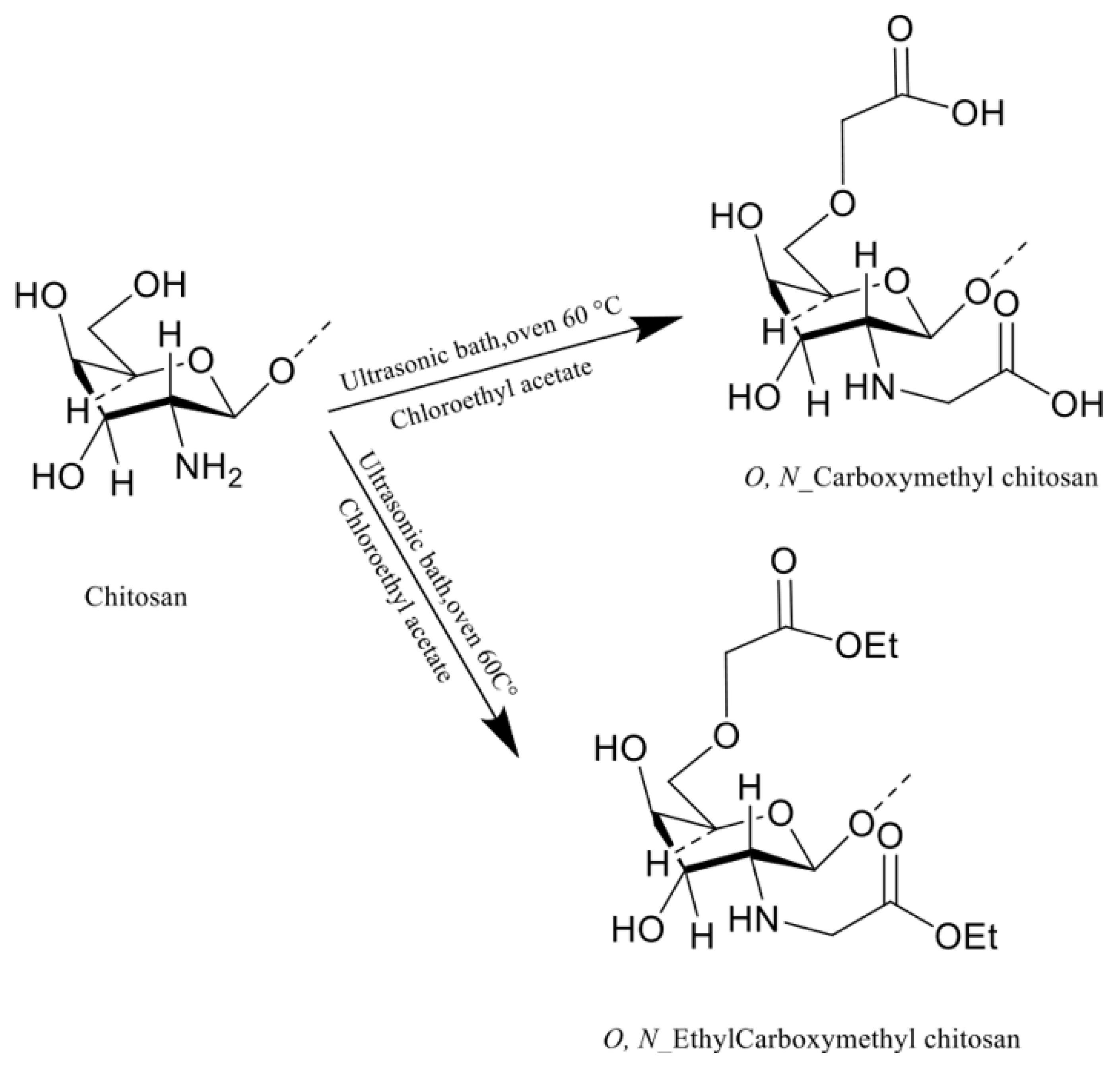 Chemproc 12 00090 g001b