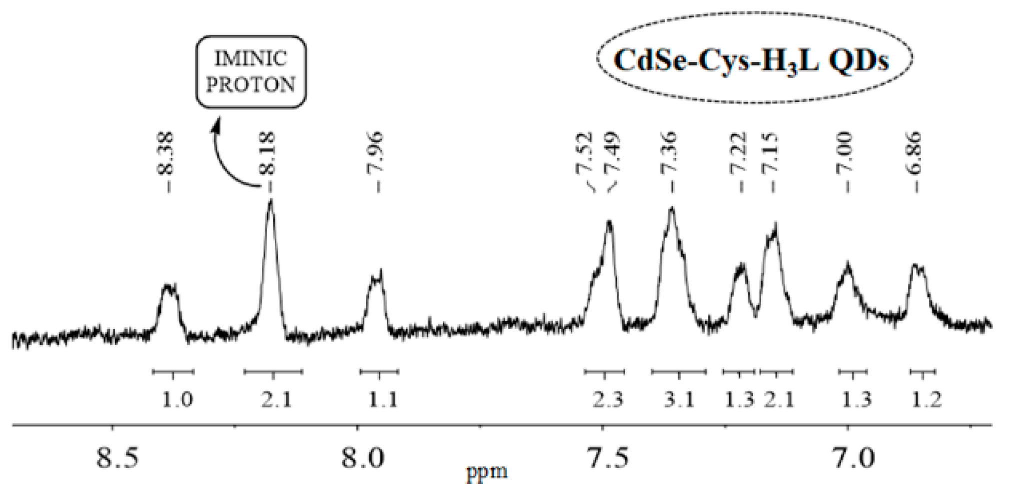 Chemproc 12 00092 g007 550