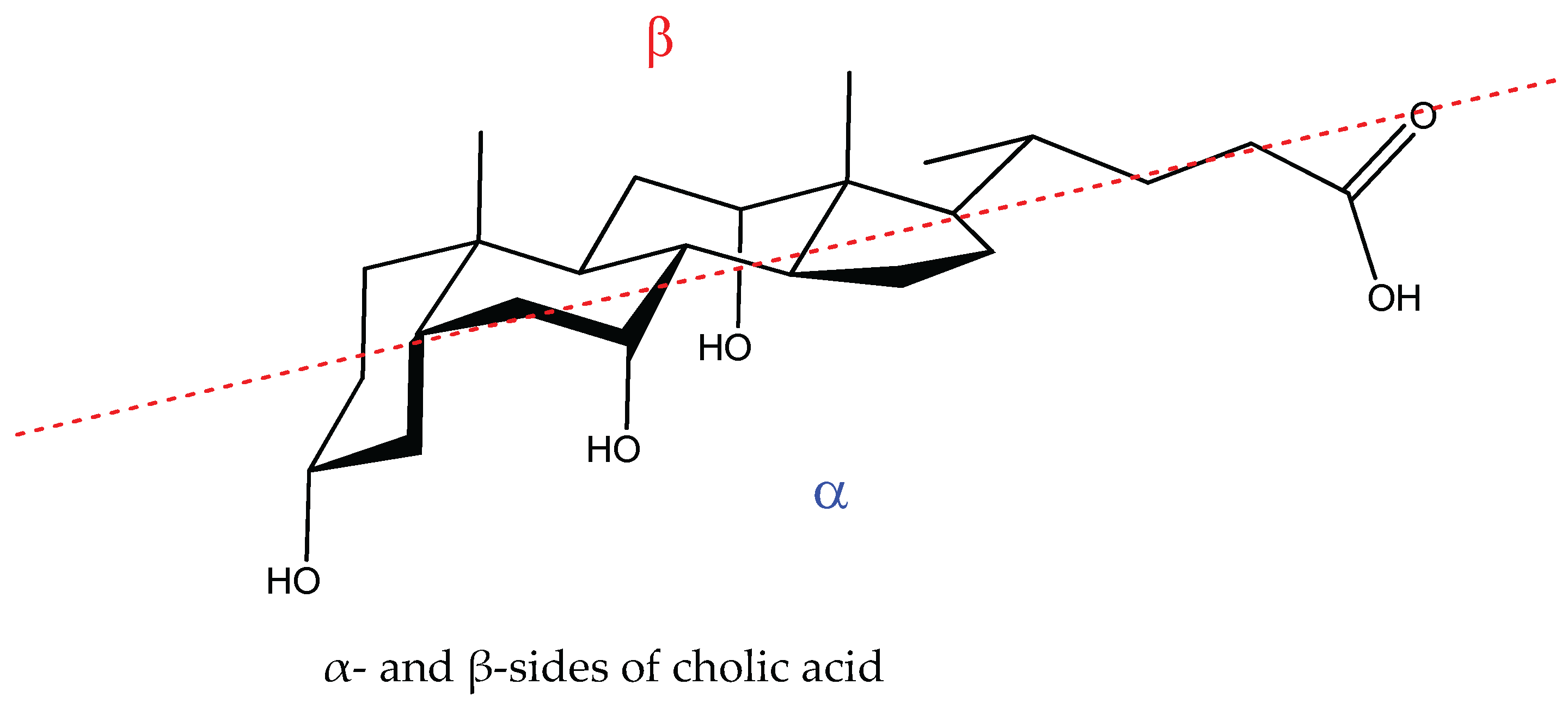 Chemproc 12 00095 g001
