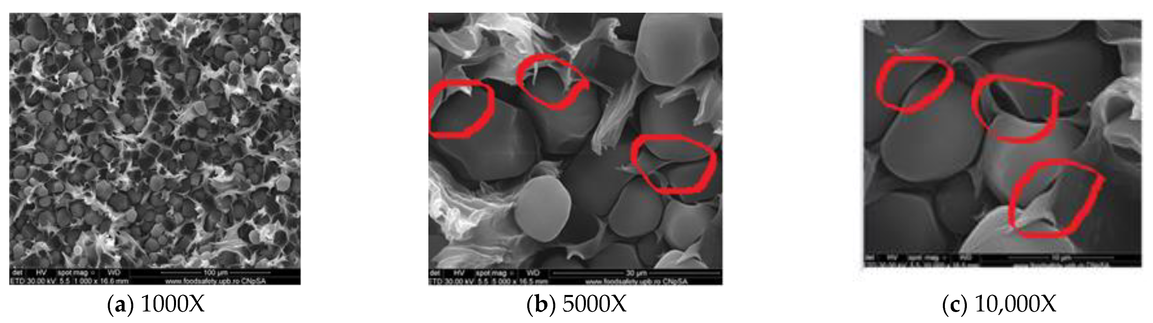 Chemproc 13 00004 g007