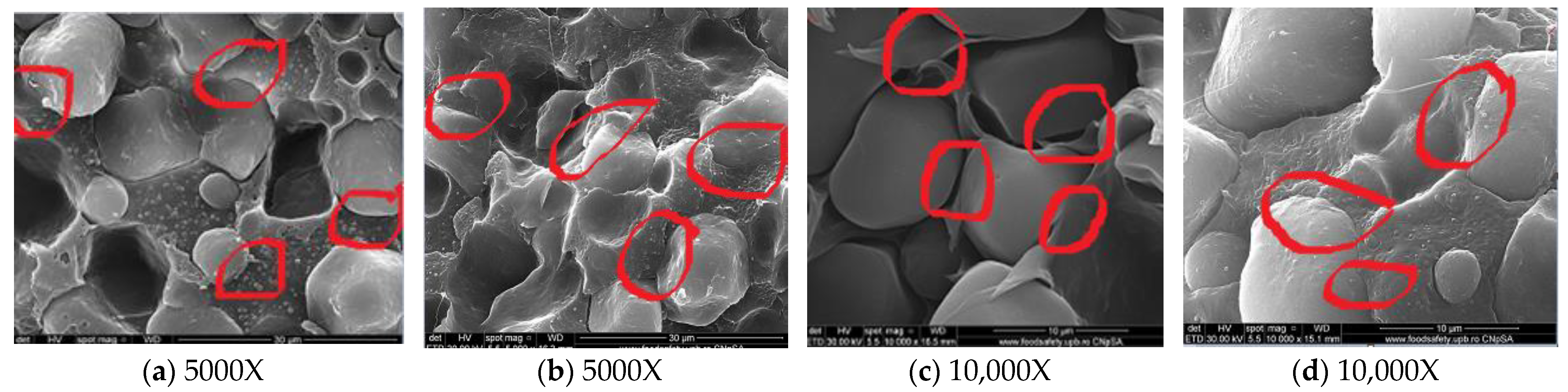 Chemproc 13 00004 g008
