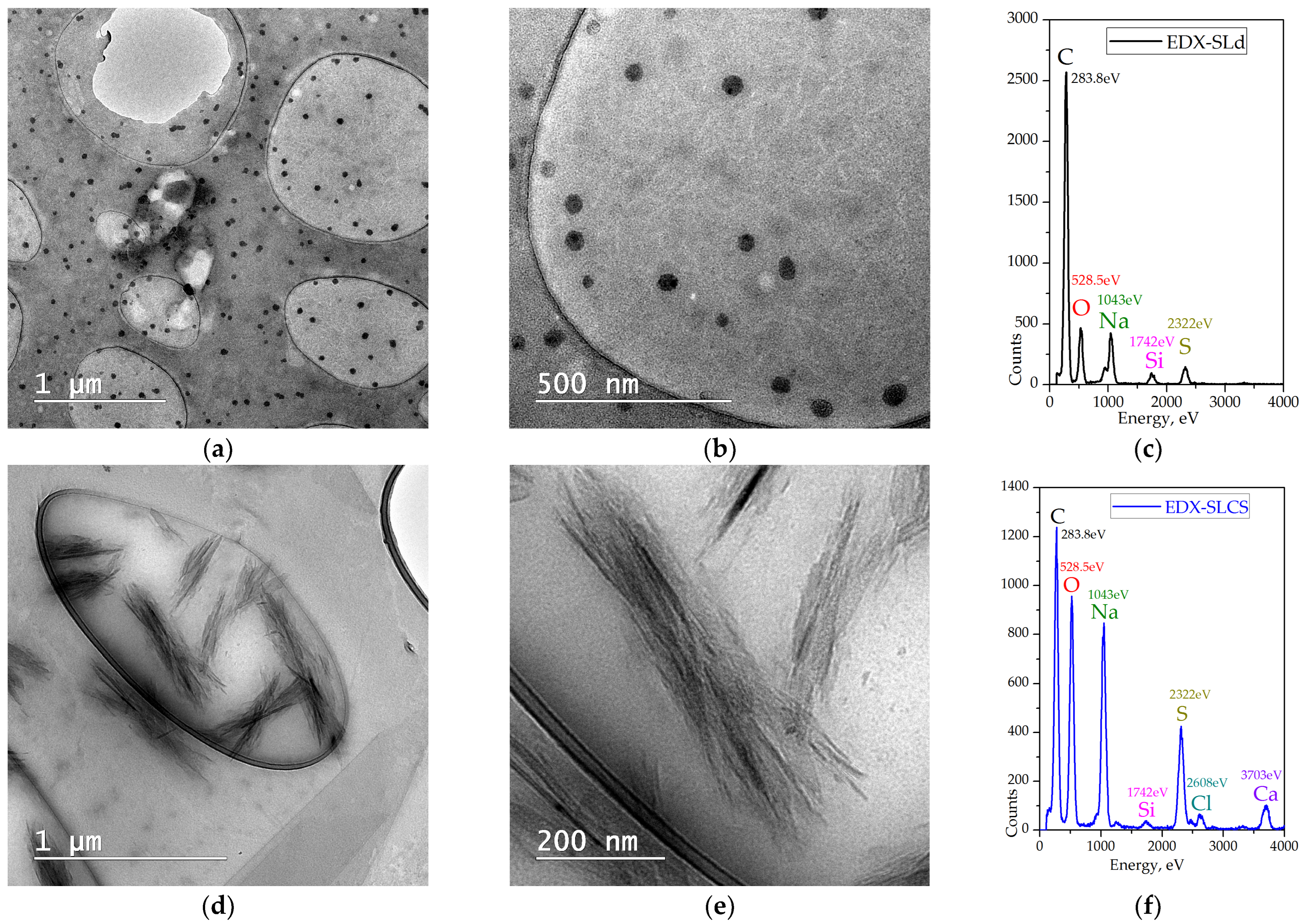 Chemproc 13 00012 g002