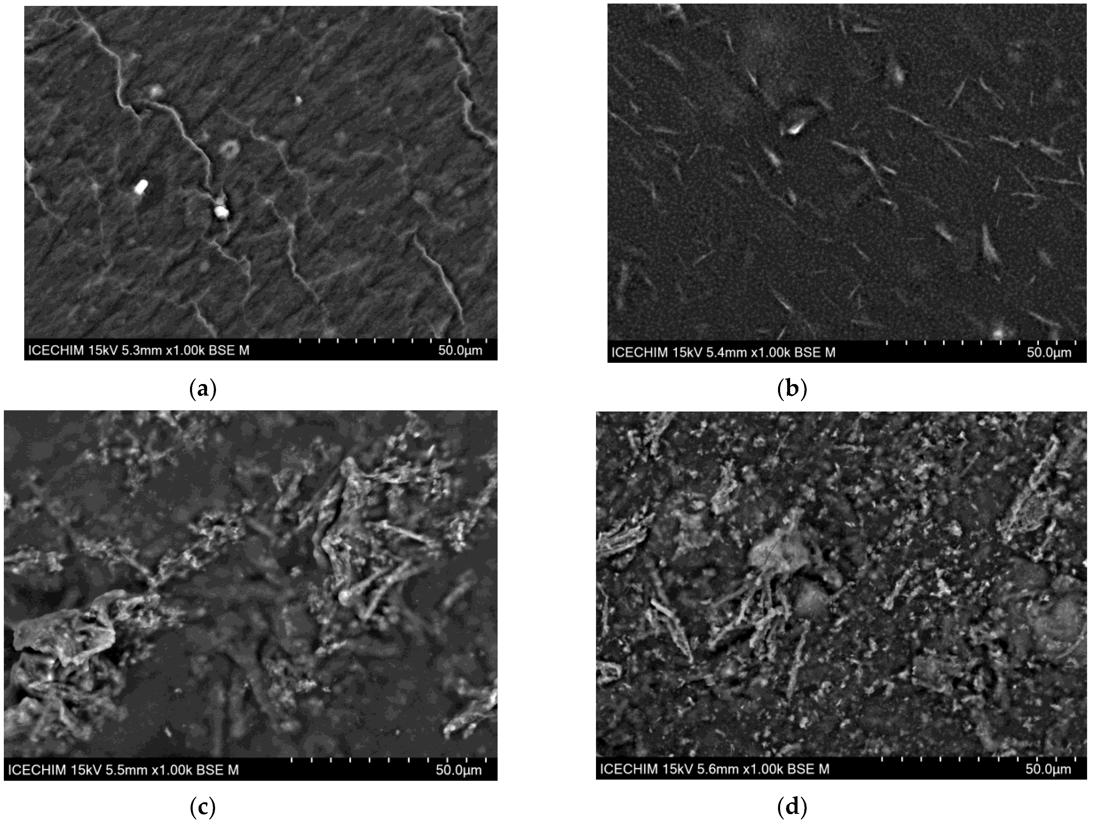 Chemproc 13 00013 g003