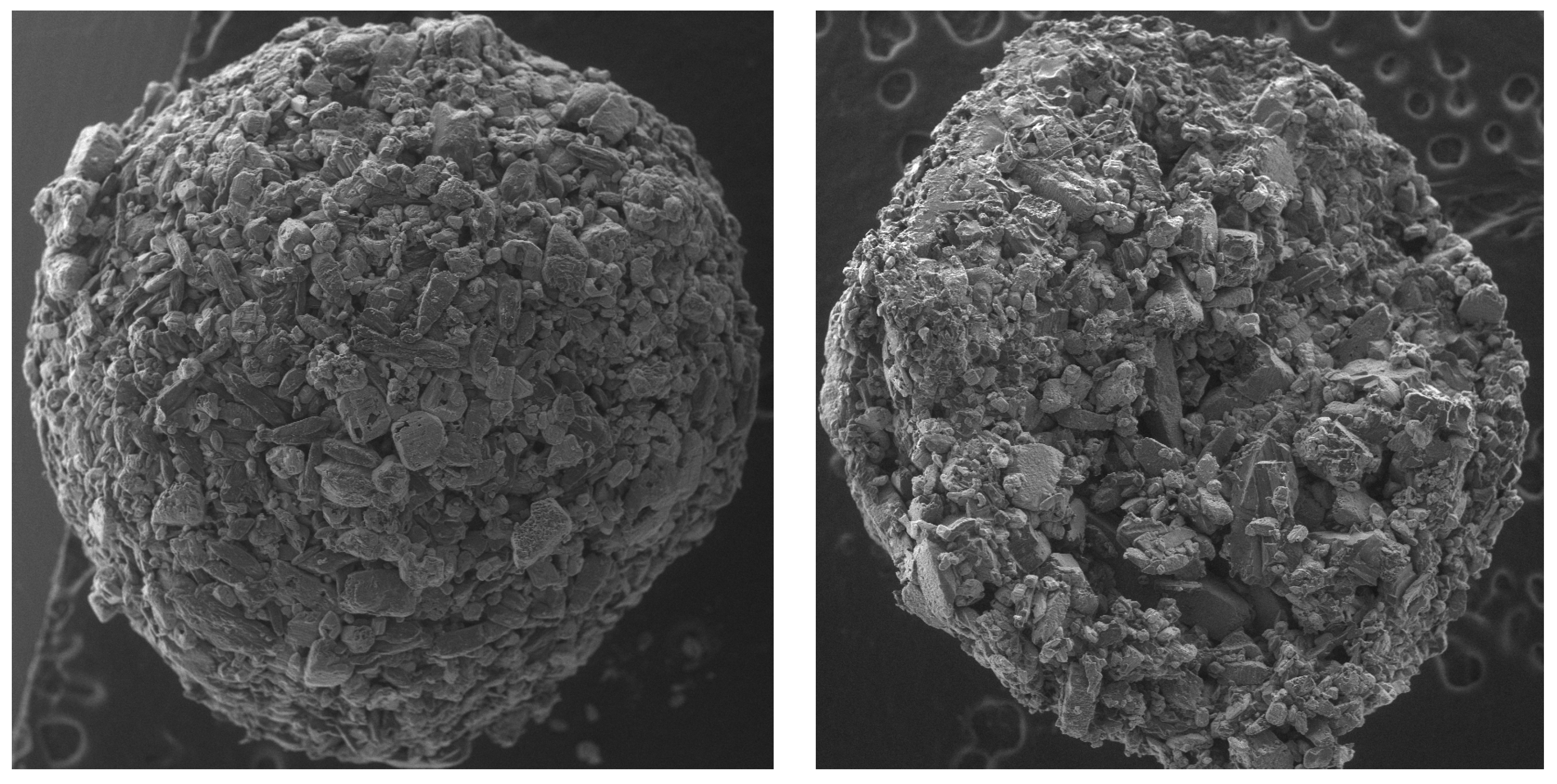 Chemproc 13 00014 g003