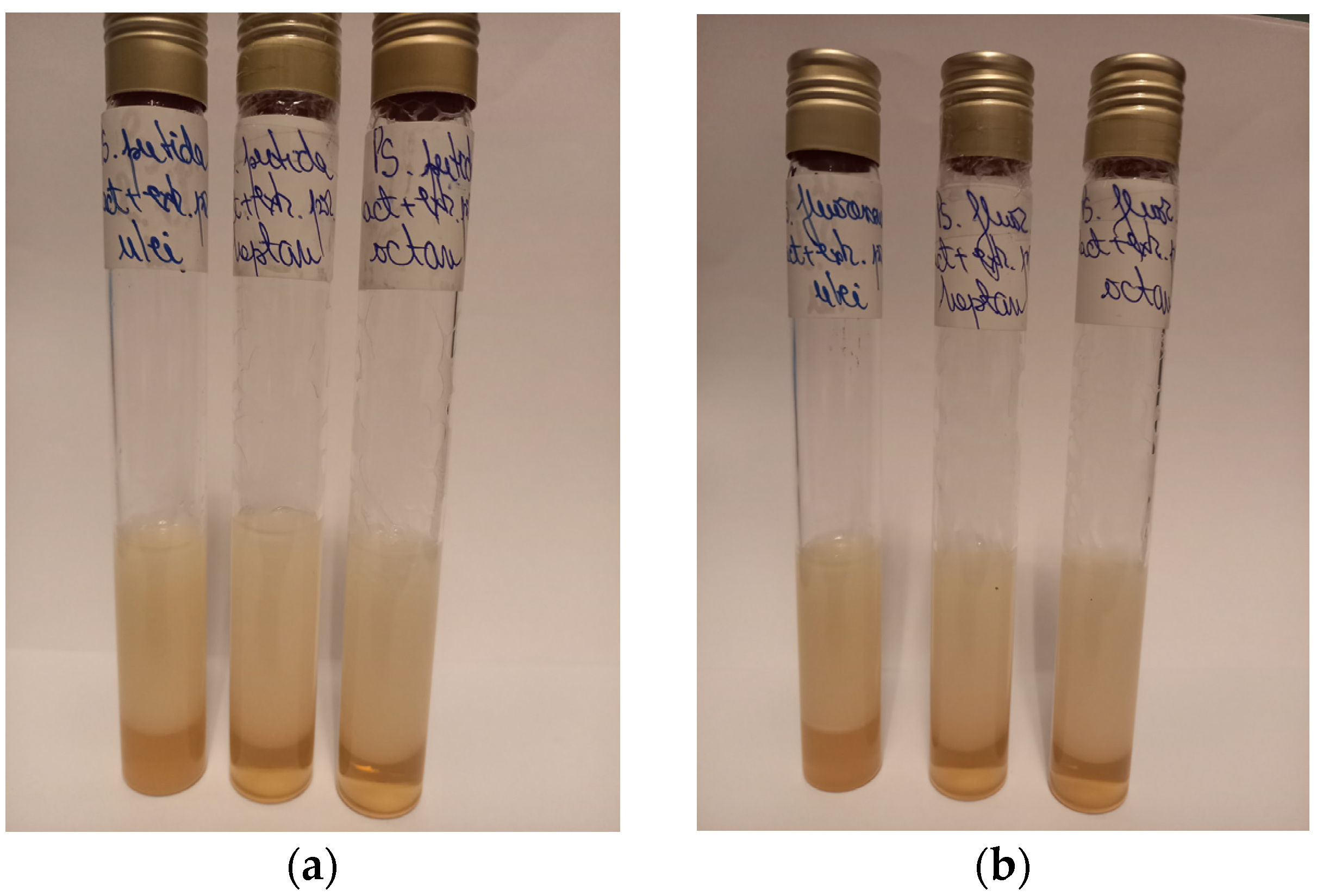 Chemproc 13 00016 g001