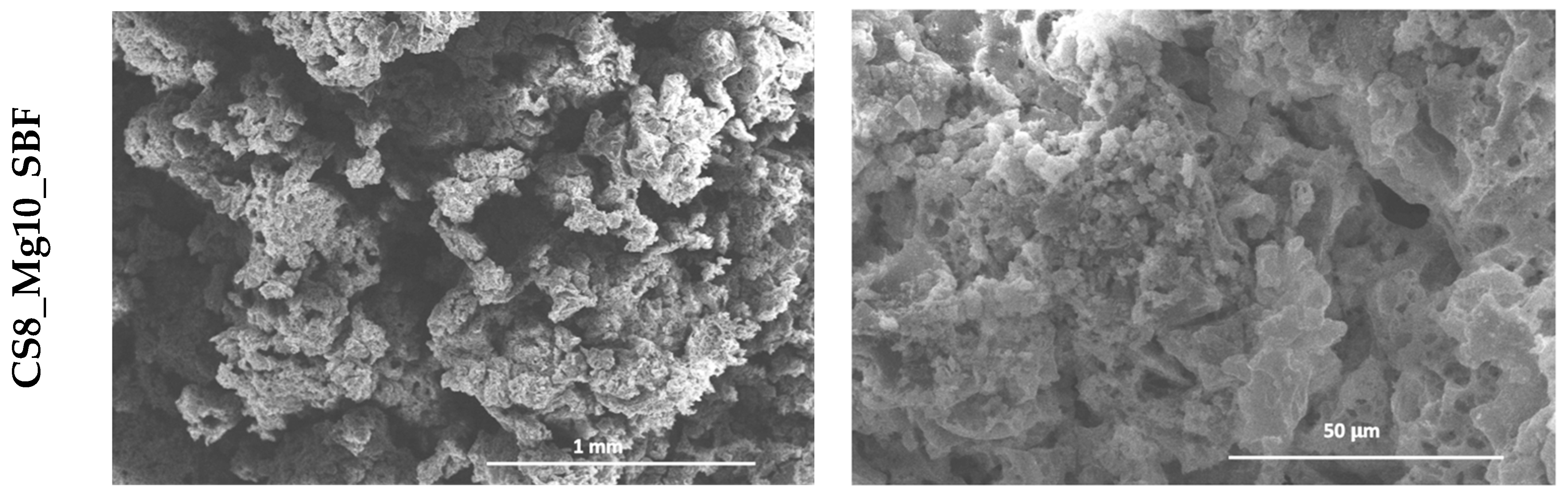 Chemproc 13 00018 g004b