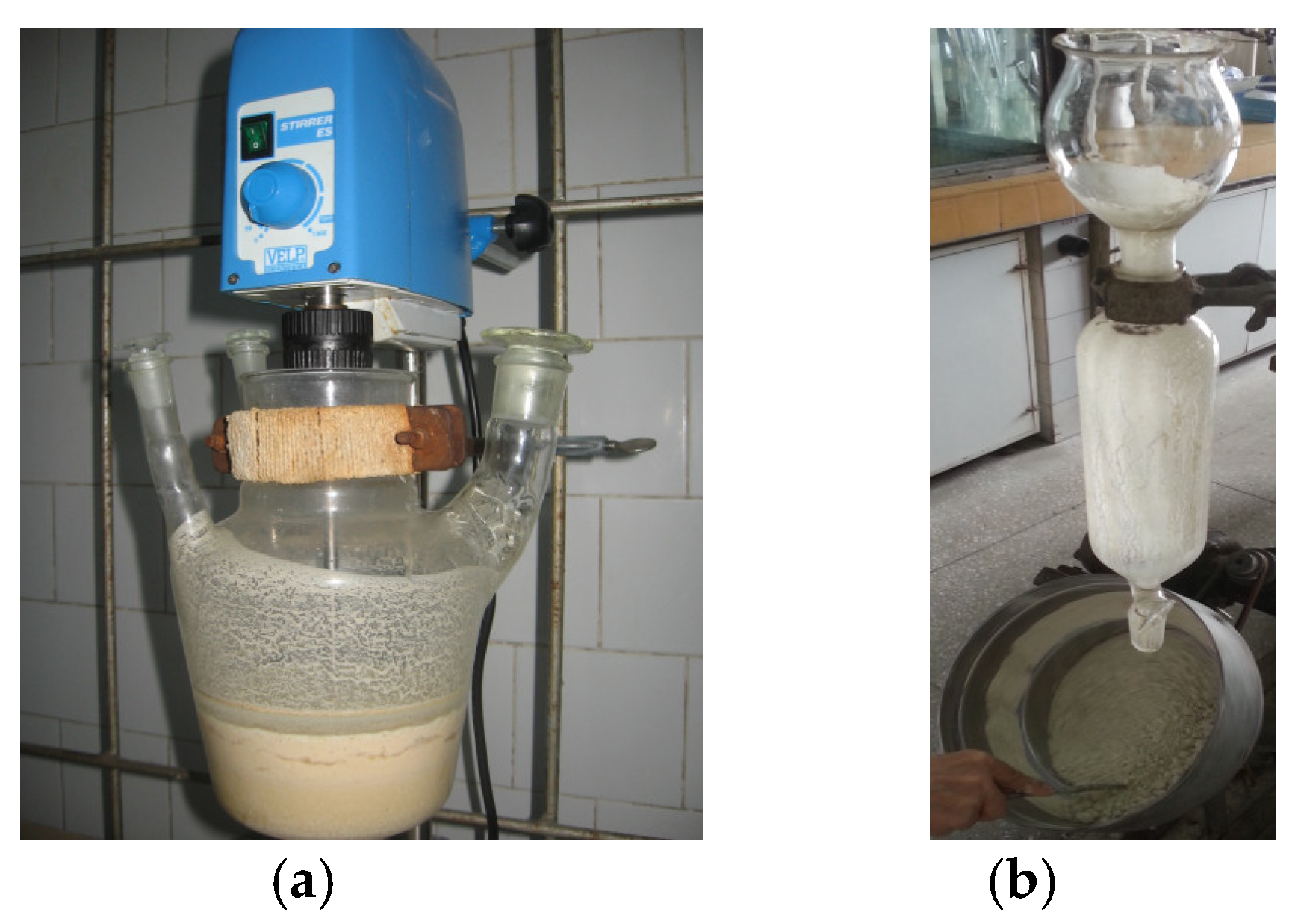 Chemproc 13 00028 g002