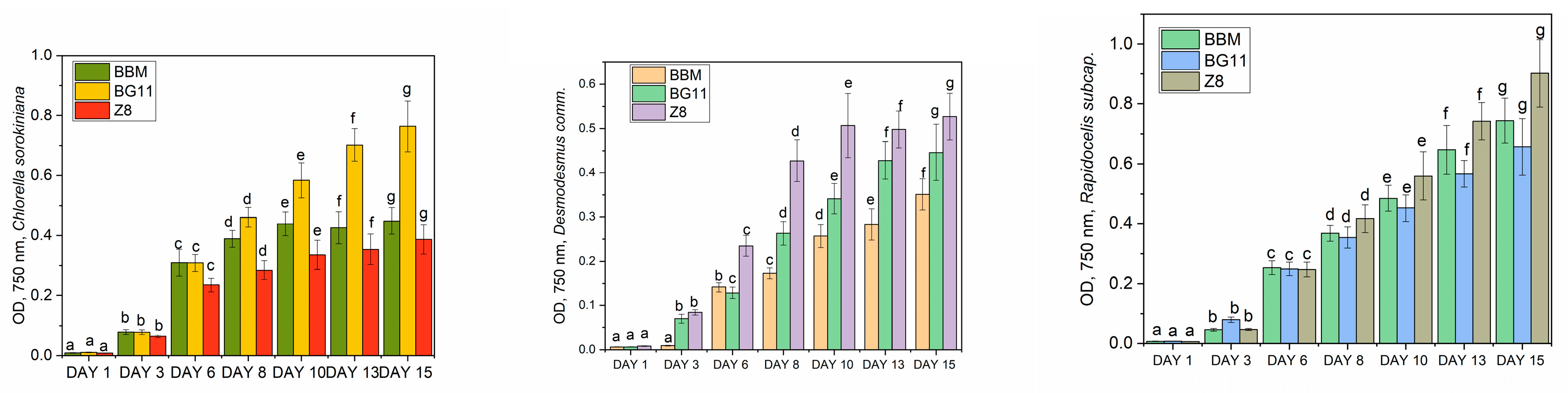 Chemproc 13 00030 g002 Chemproc 13 00030 g002