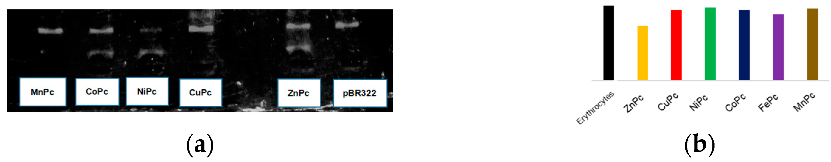 Chemproc 14 00027 g002 Chemproc 14 00027 g002