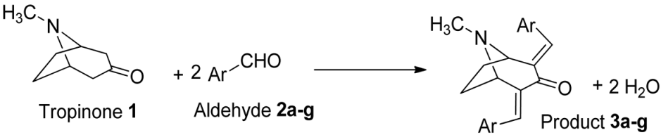 Chemproc 14 00028 i001
