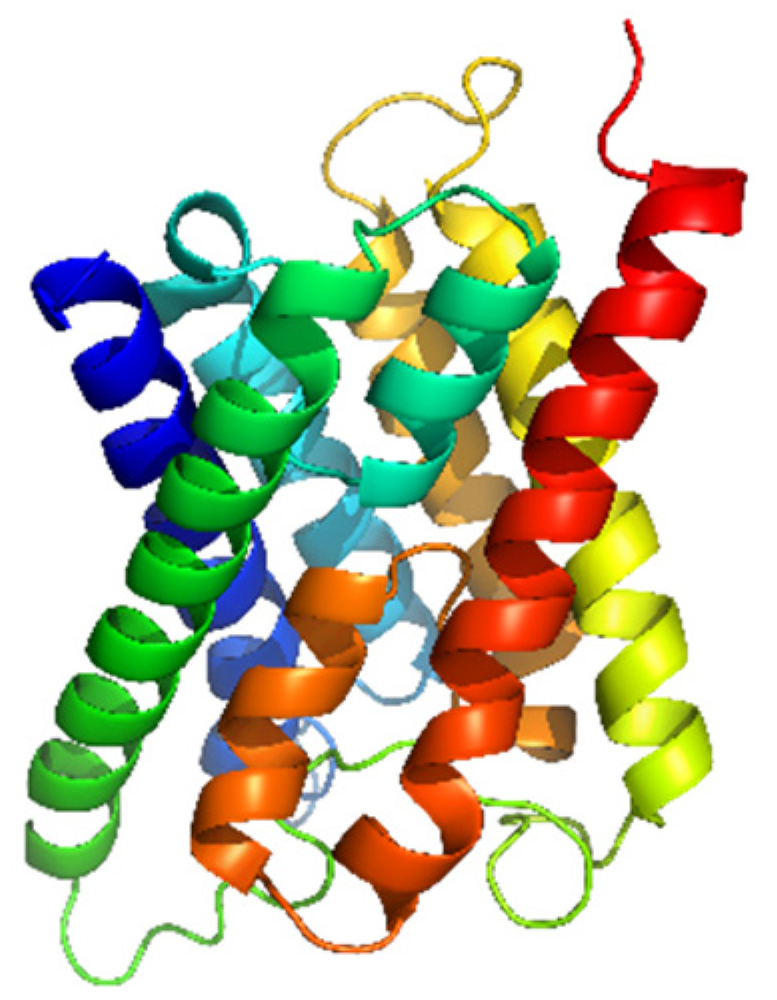Chemproc 14 00051 g001
