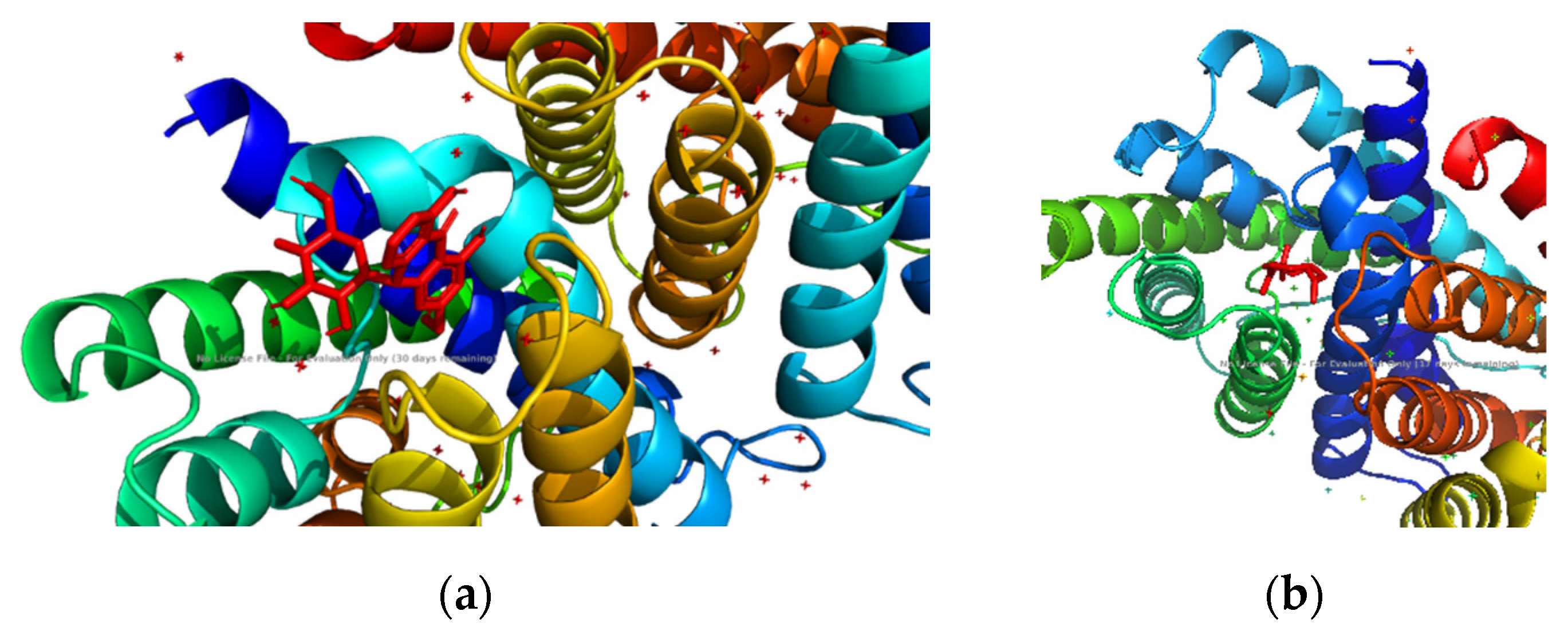 Chemproc 14 00051 g002