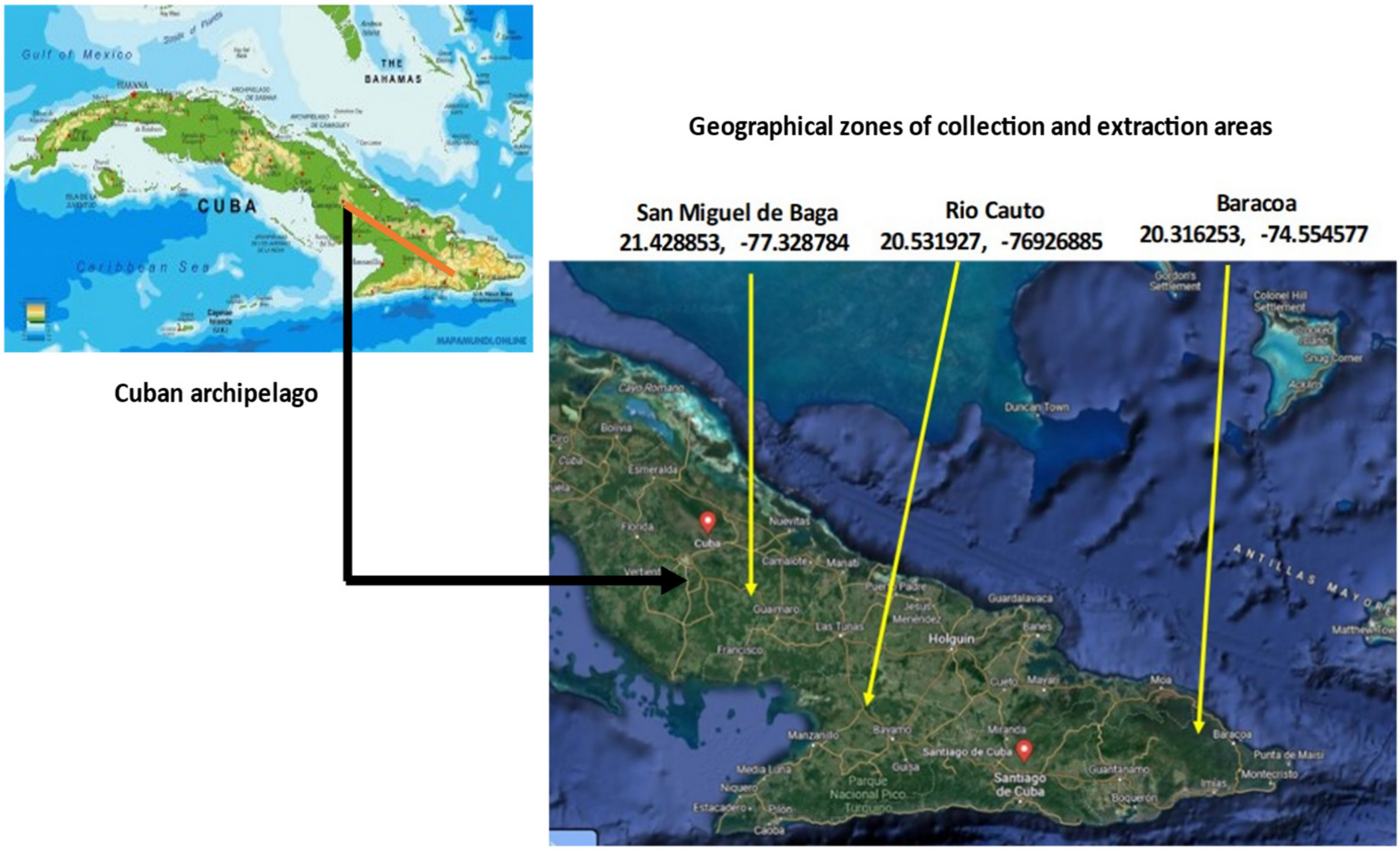 Chemproc 14 00053 g001