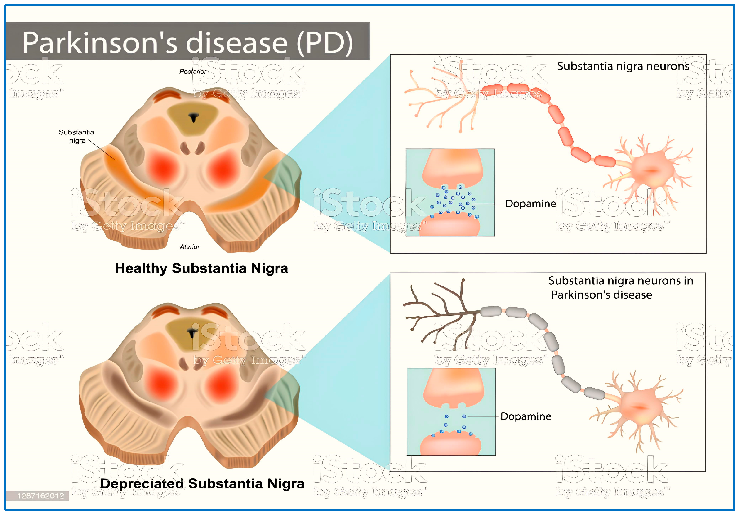 Chemproc 14 00055 g001