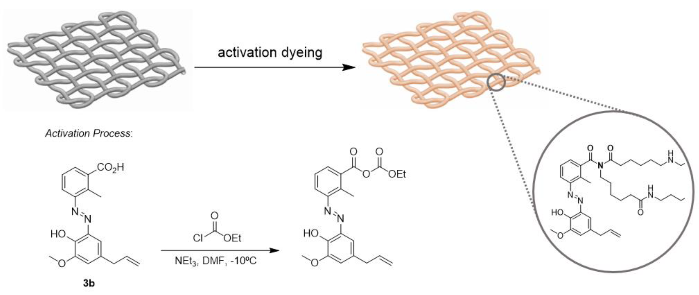 Chemproc 14 00056 g003