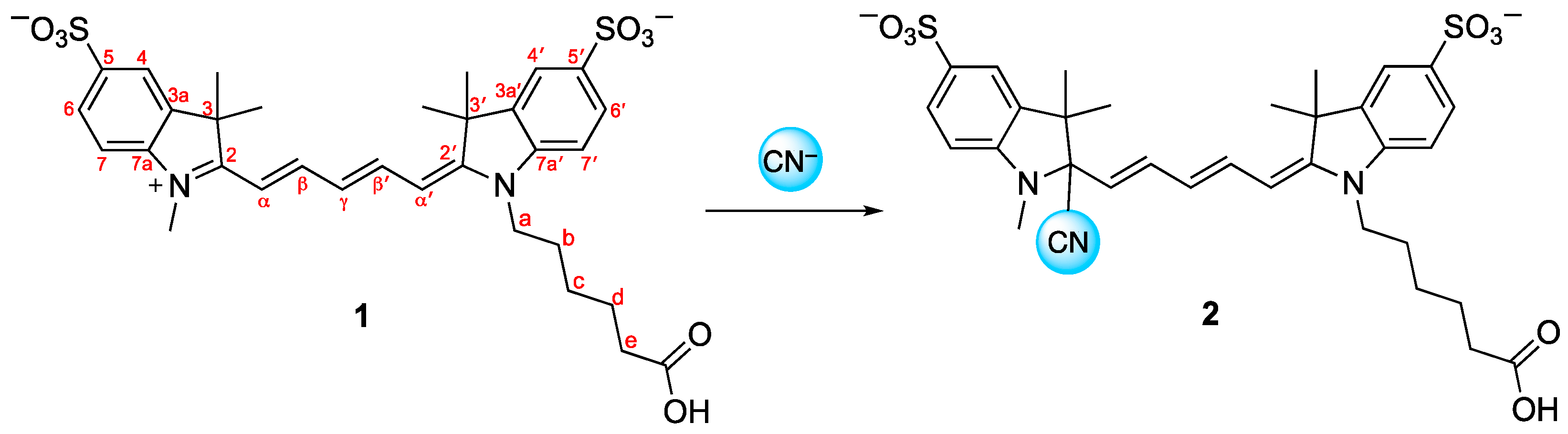 Chemproc 14 00064 g006