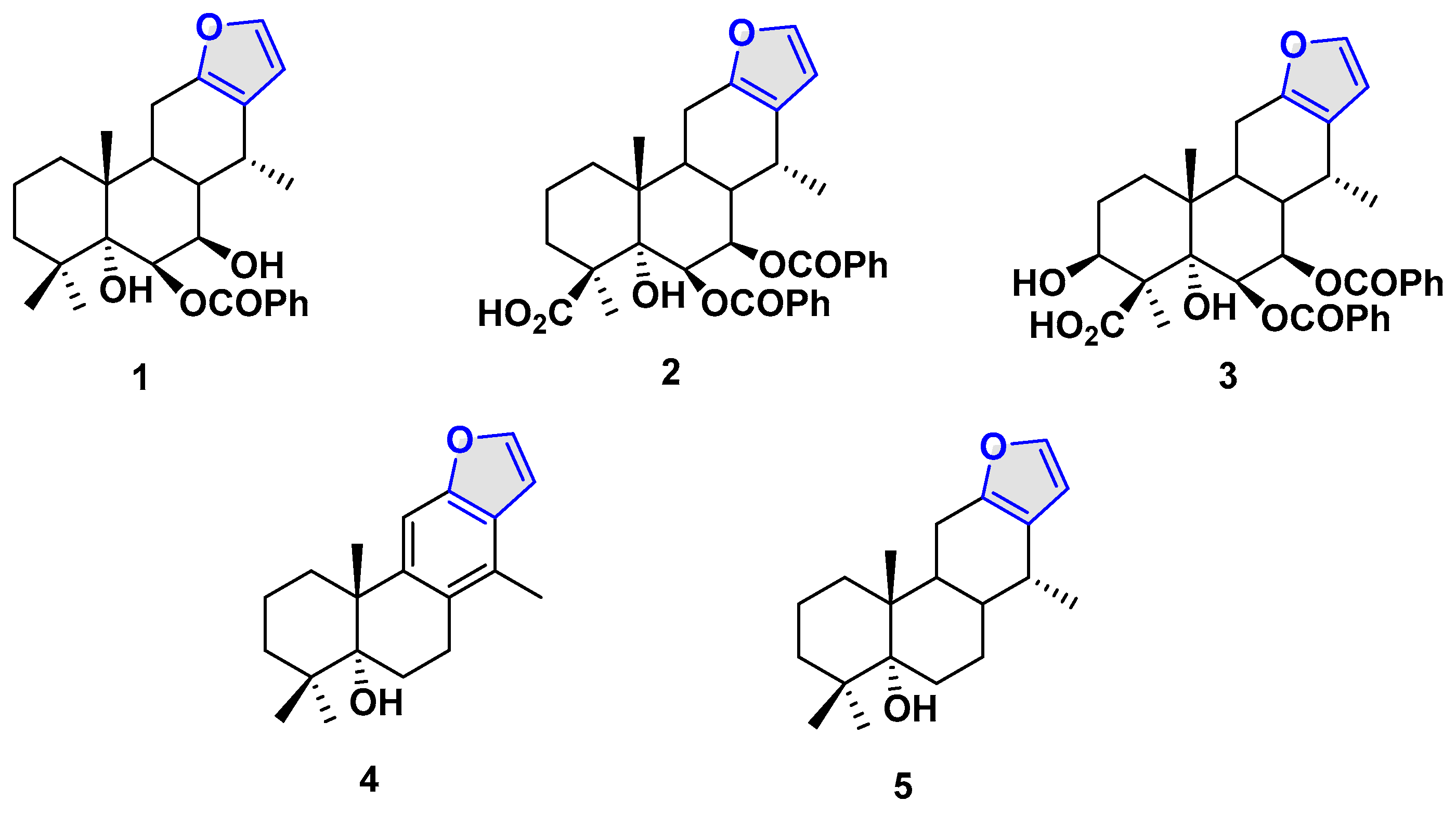 Chemproc 14 00079 g001