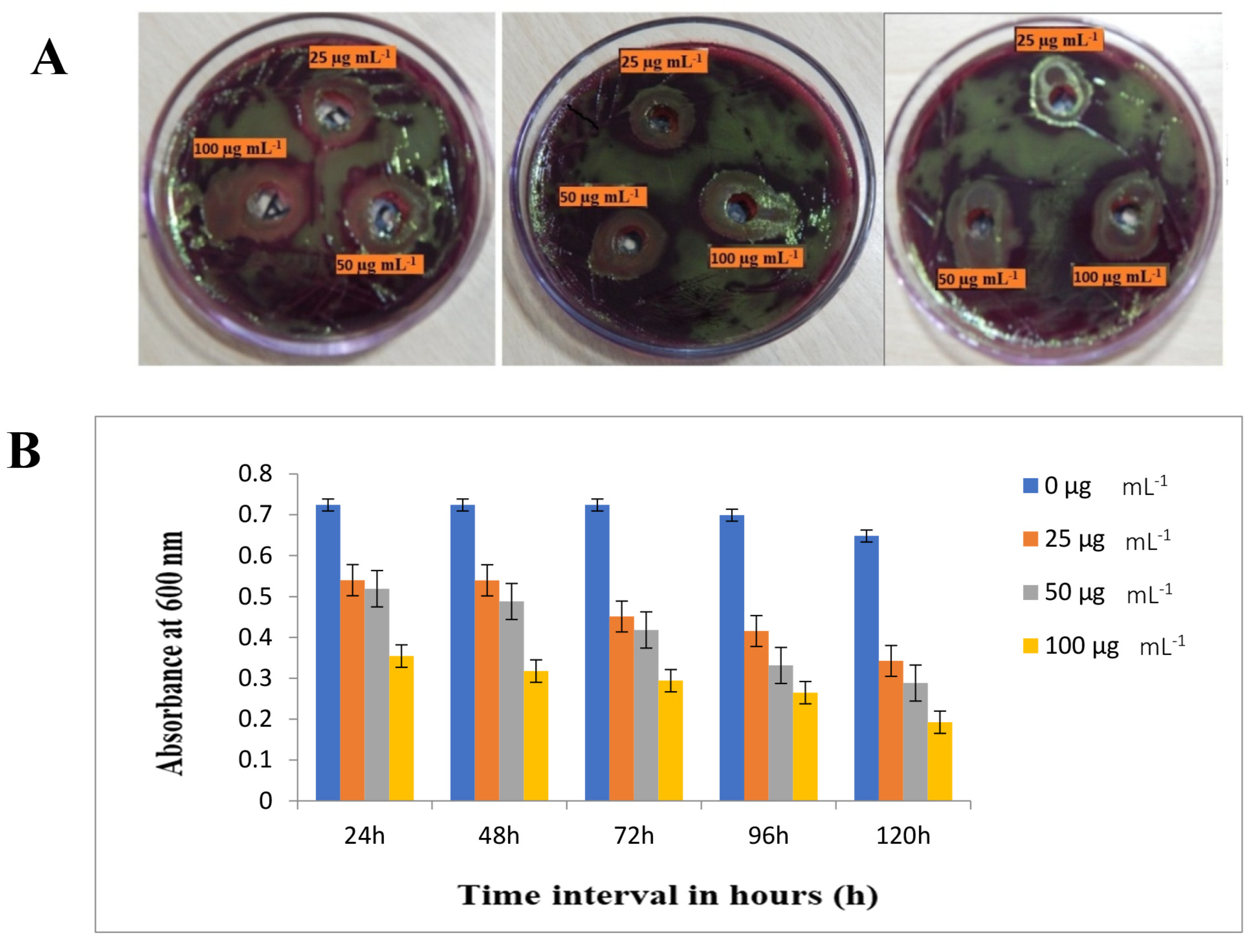 Chemproc 14 00088 g004 Chemproc 14 00088 g004