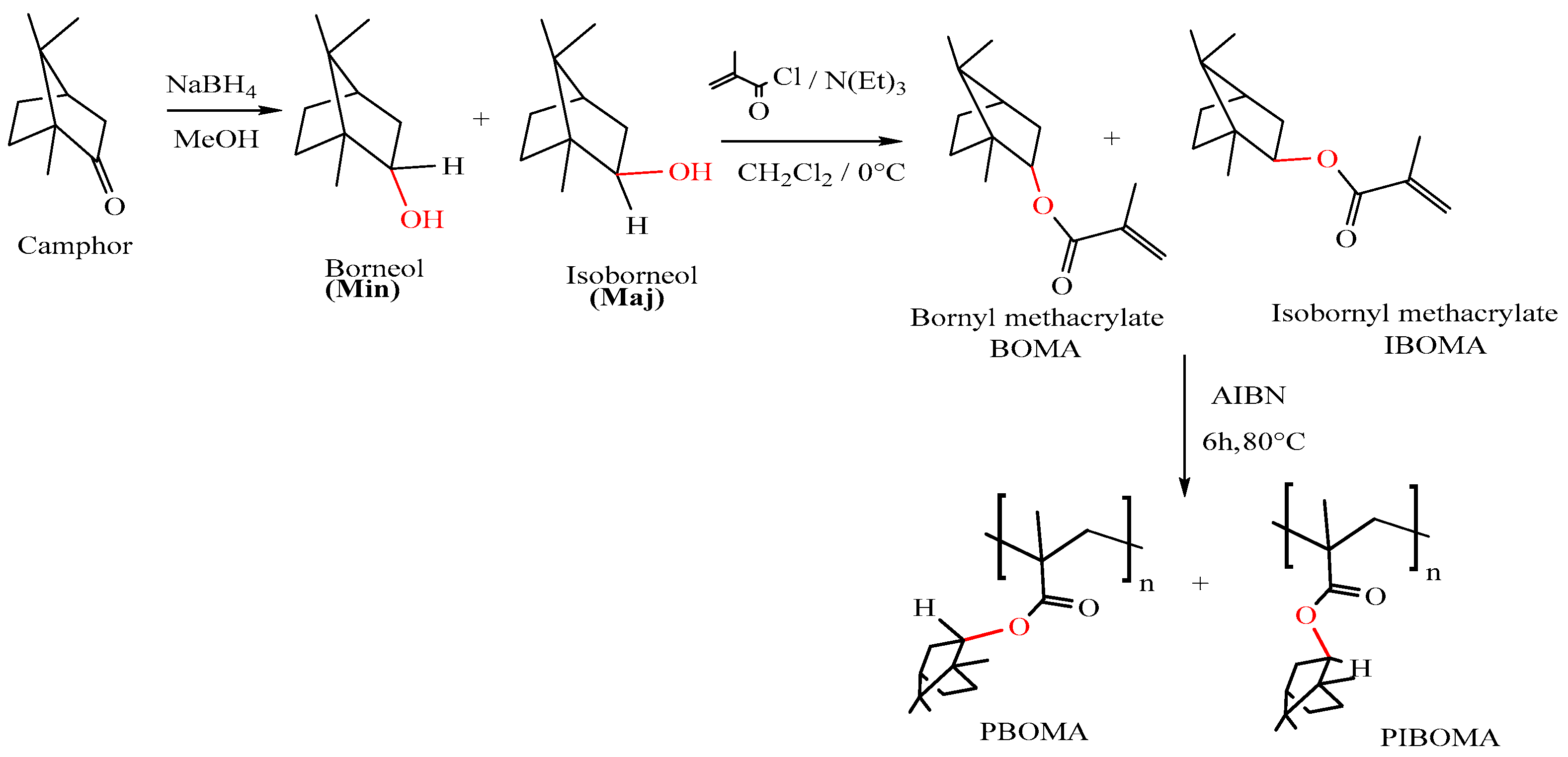 Chemproc 14 00089 g001