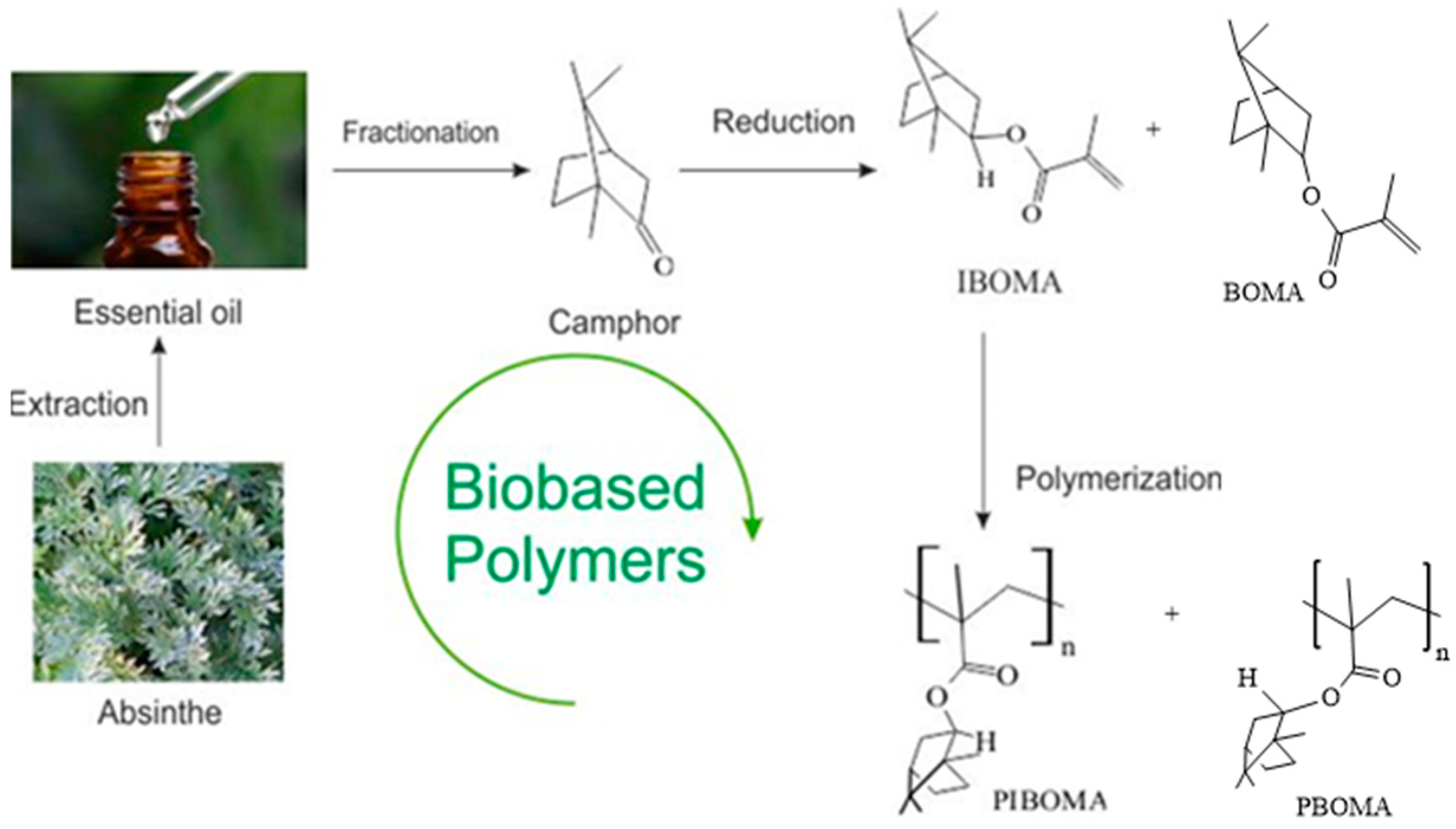 Chemproc 14 00089 sch001